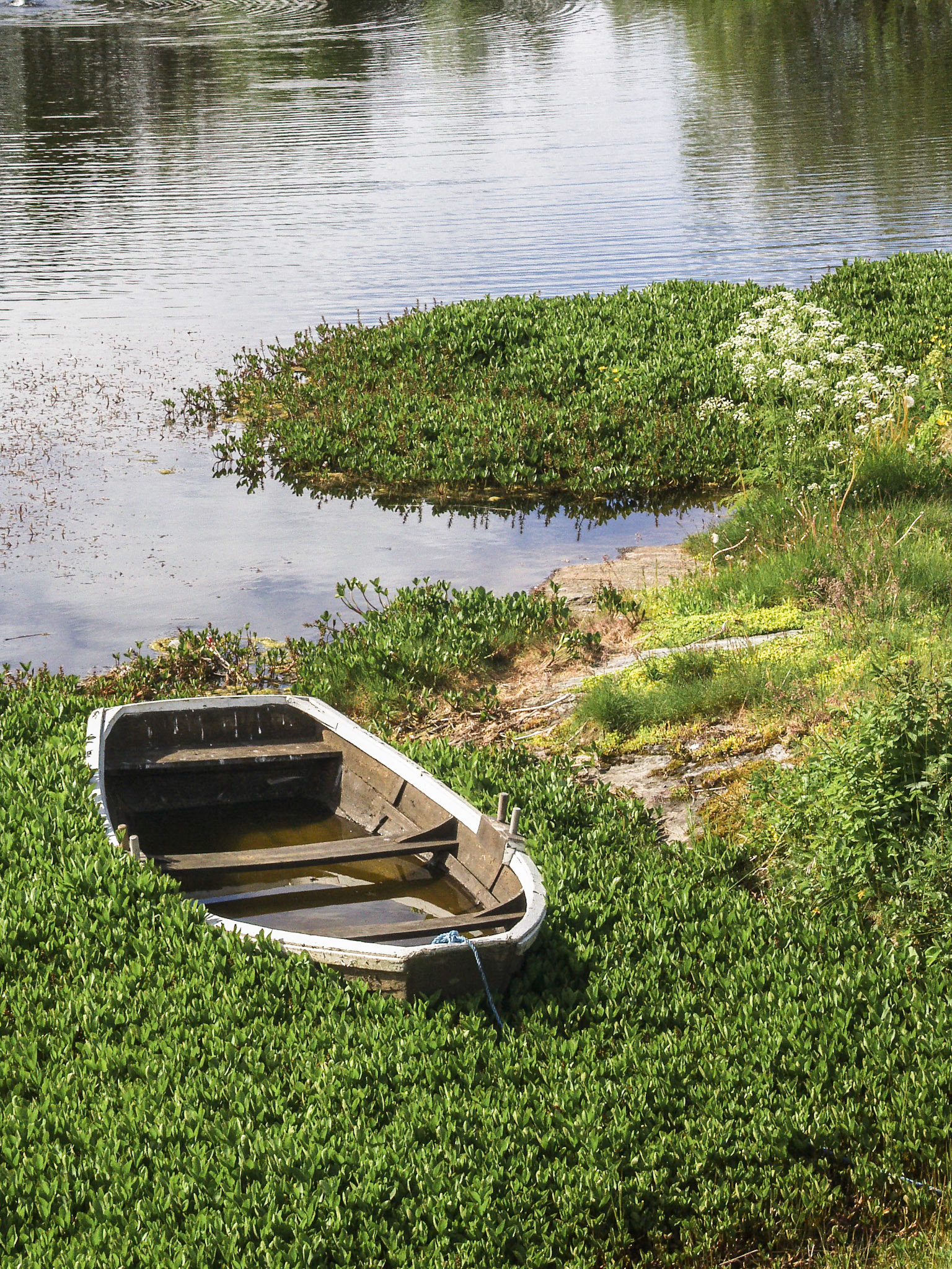 Small rowing Boat at Saltfjorden Straumen, Bodø, Nordland, Norway
