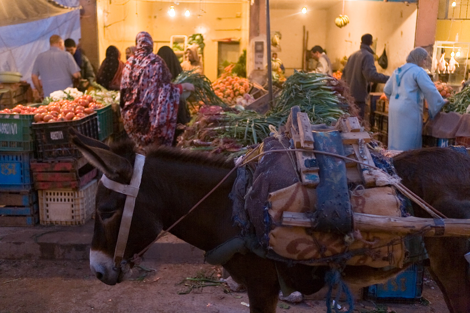 Grocery shops at evening at Guelmim