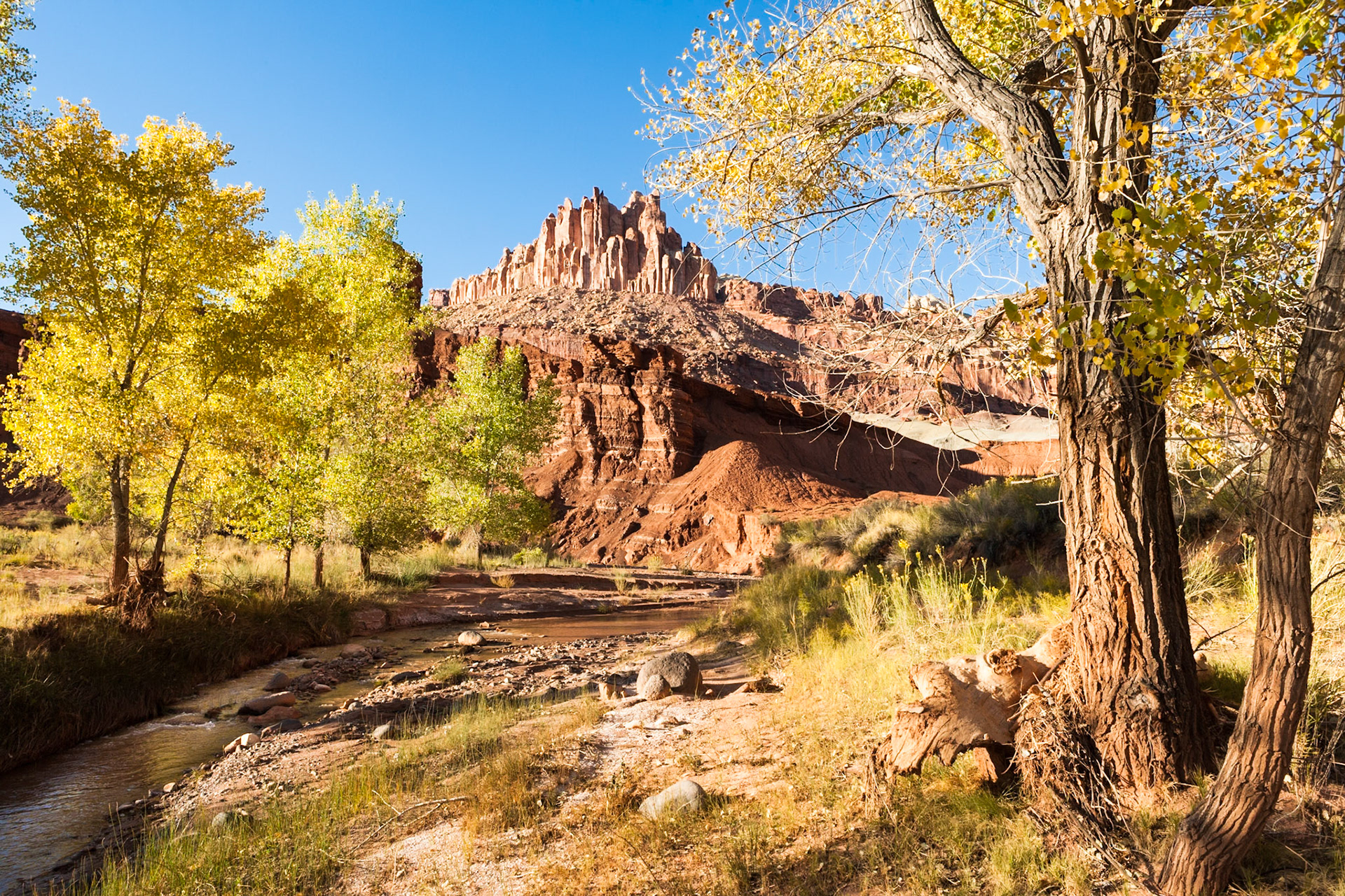 Autumn at Capitol Reef Nat'l Park, The Castle at Sulphur (Sulfer) Creek, Utah, USA