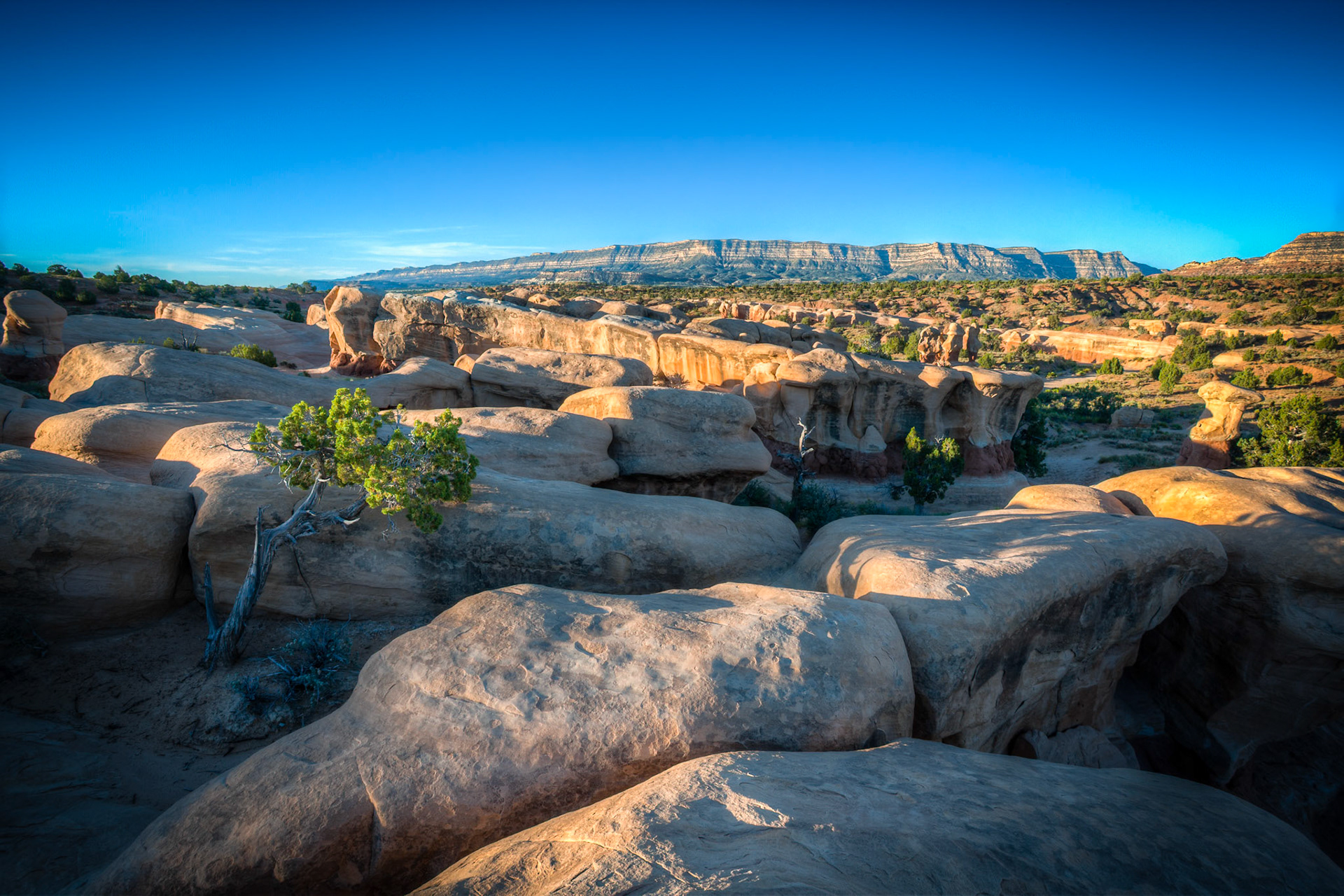Devils Garden at Grand Staircase Escalante National Monument, UT, USA
