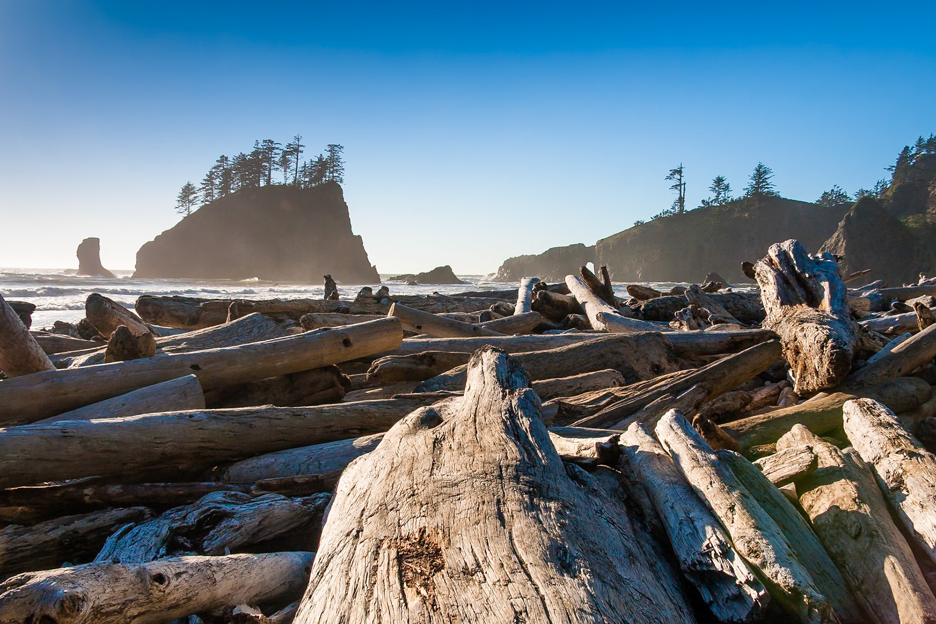 Sunset at Driftwood at Second Beach near La Push in Olympic National Park, WA, USA