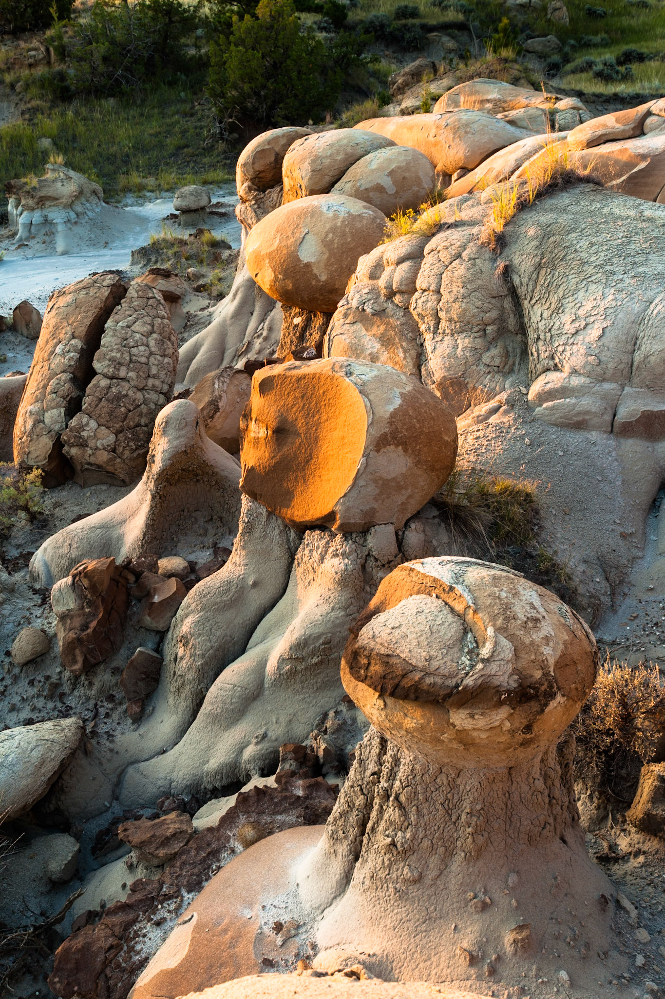 Beautiful erosions at Makoshika State Park, Montana, North America at sunset, USA