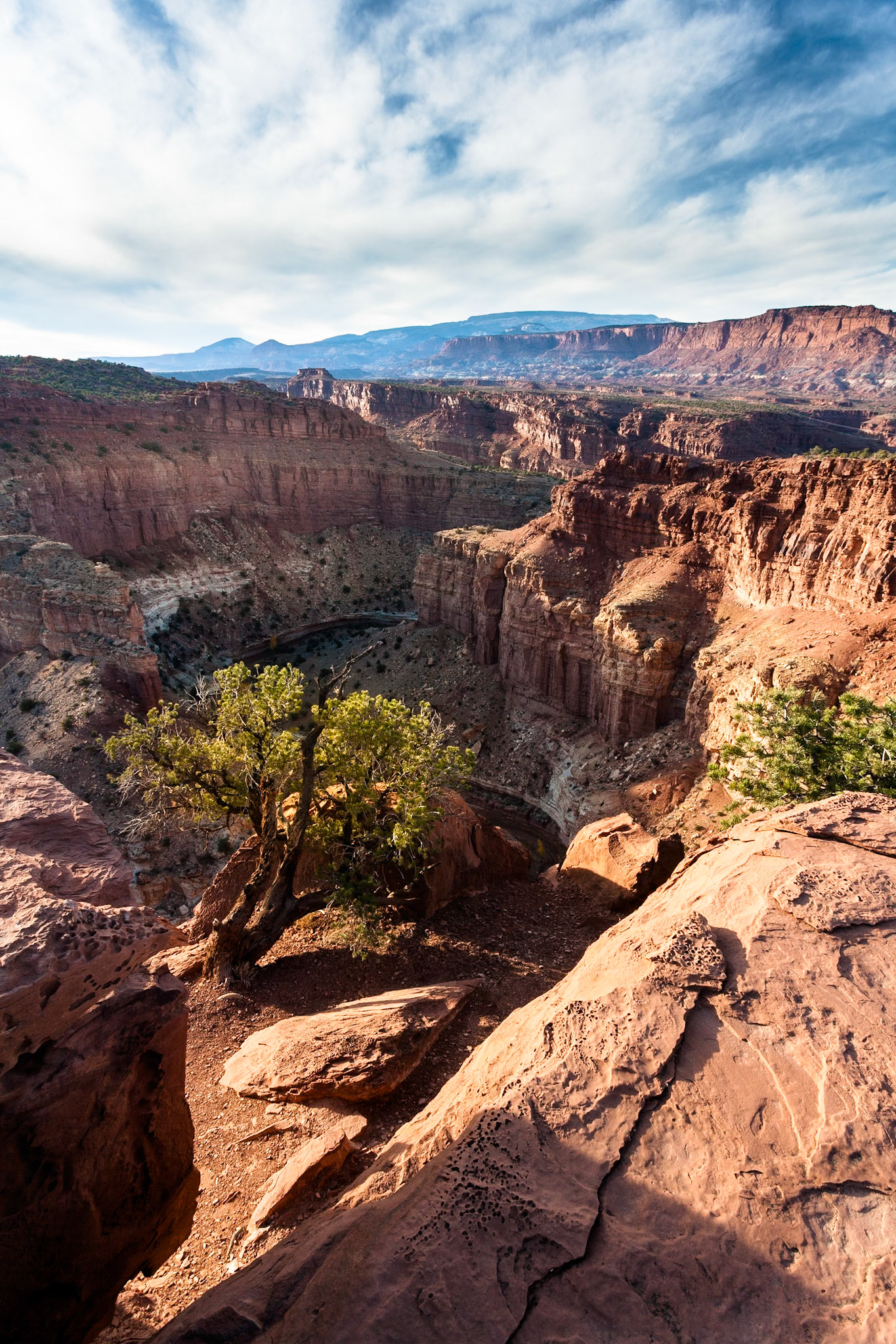 Capitol Reef Nat'l Park, Utah at Goosenecks point, Utah, USA