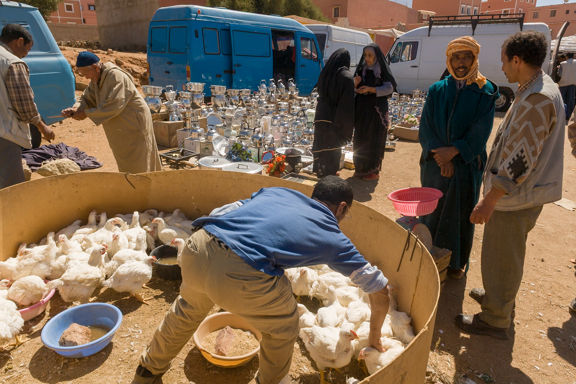 Poultry, chicken selling at market of the city of Tafraoute.