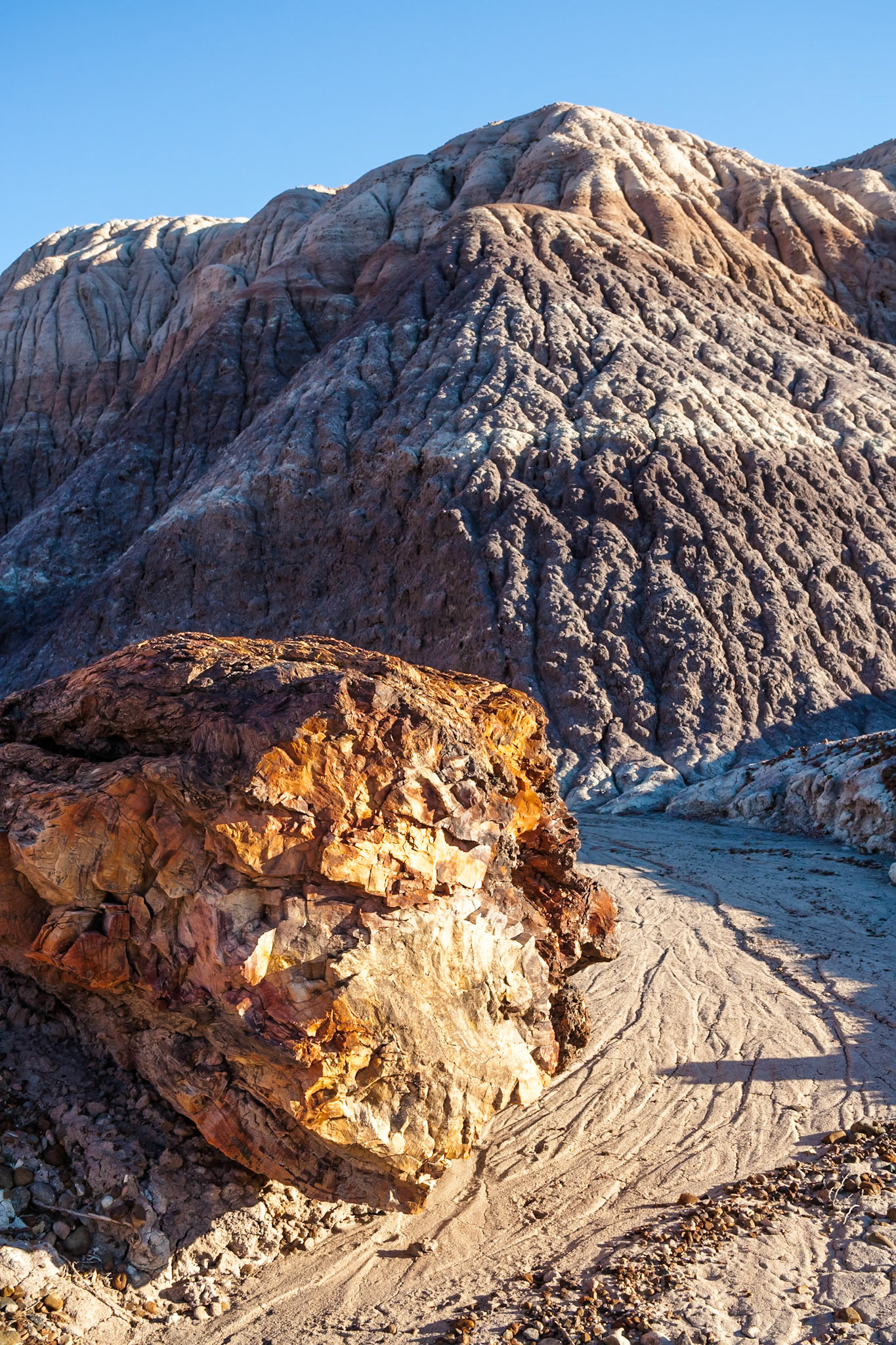 Sunset at Petrified Forest National Park, Blue Mesa, AZ, USA
