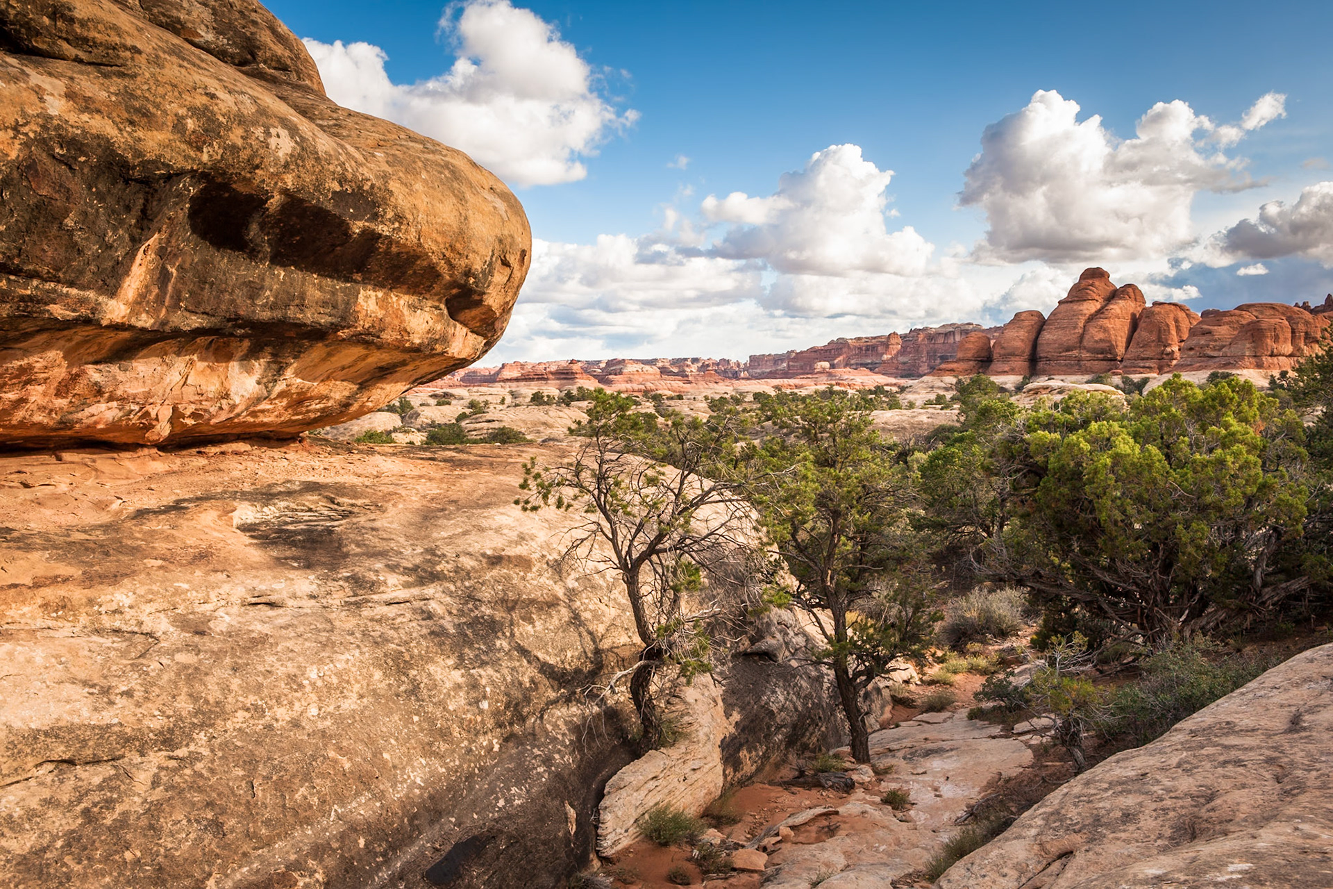 Elephant Hill at CanyonLands NP, UT, USA