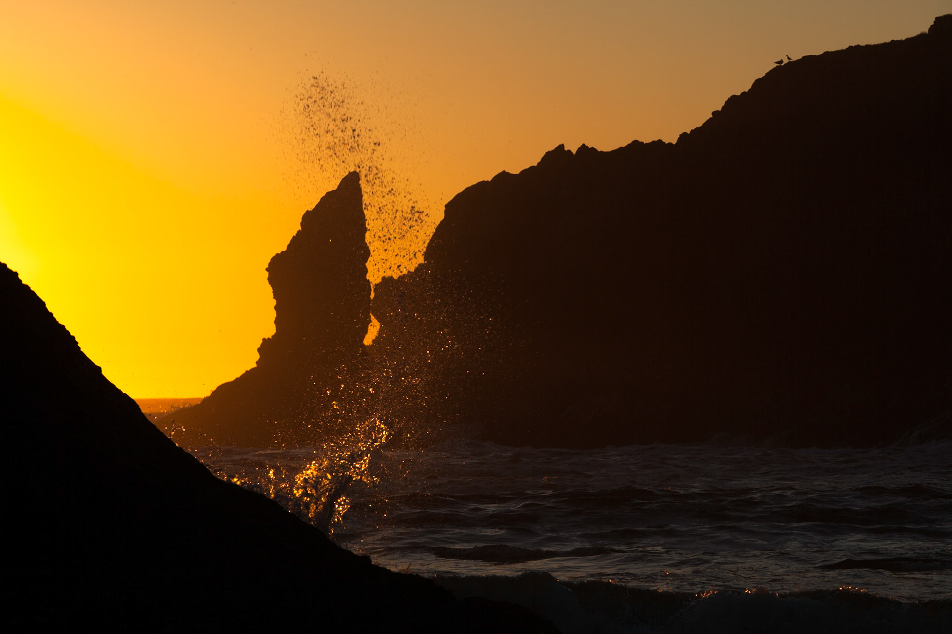 Second Beach near La Push at the Olympic National Park at sunset, Washington, USA,