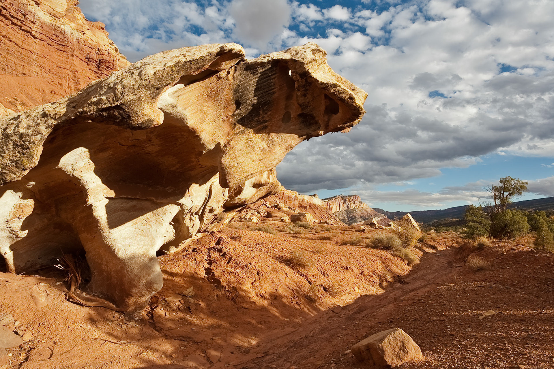 Scenic Drive at Capitol Reef Nat'l Park, Utah, USA