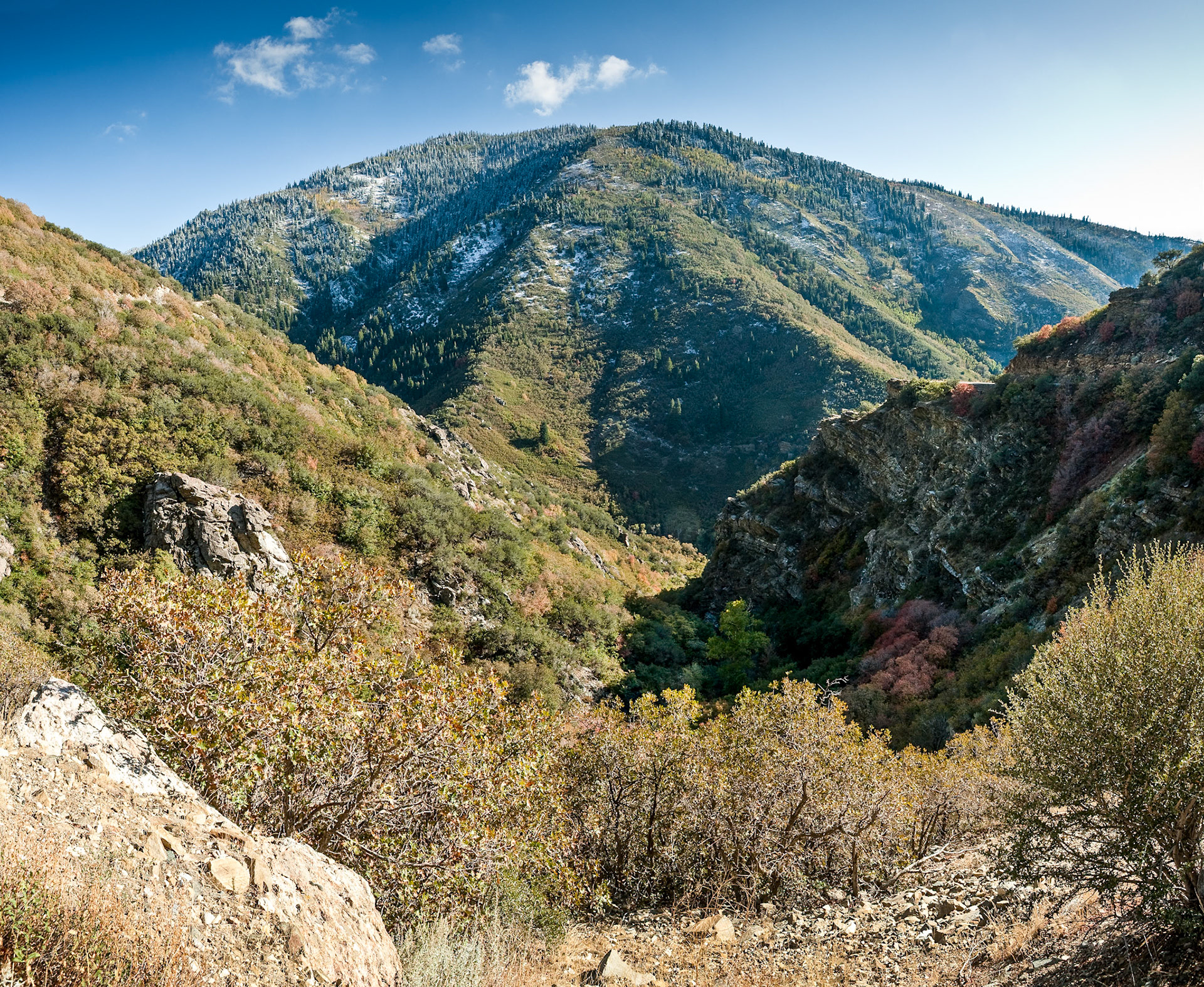 Fall at Wasatch National Forest, Wasatch Range, Utah, USA
