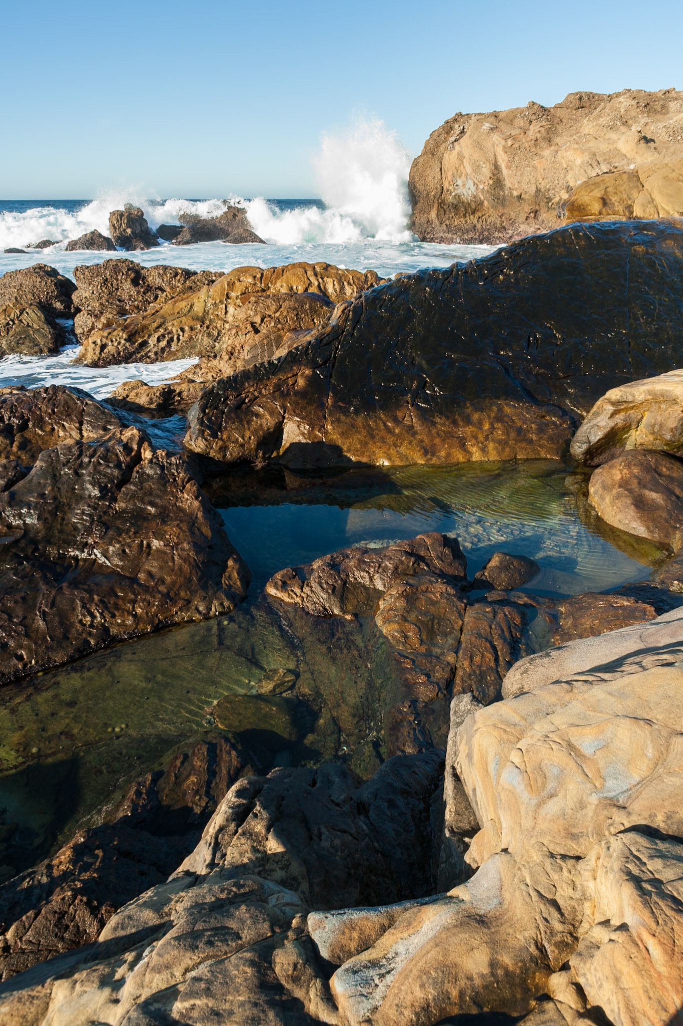 Point Lobos State Reserve near Carmel, California, USA