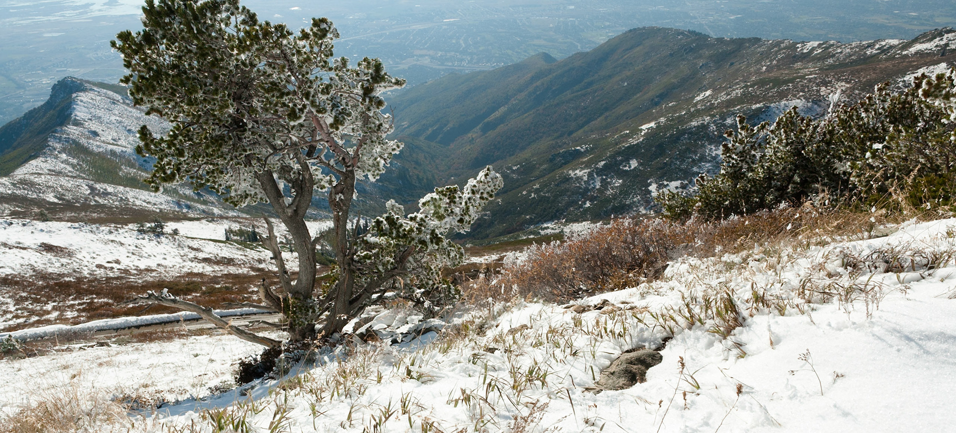 Francis Peak at Wasatch National Forest, Wasatch Range, Utah, USA
