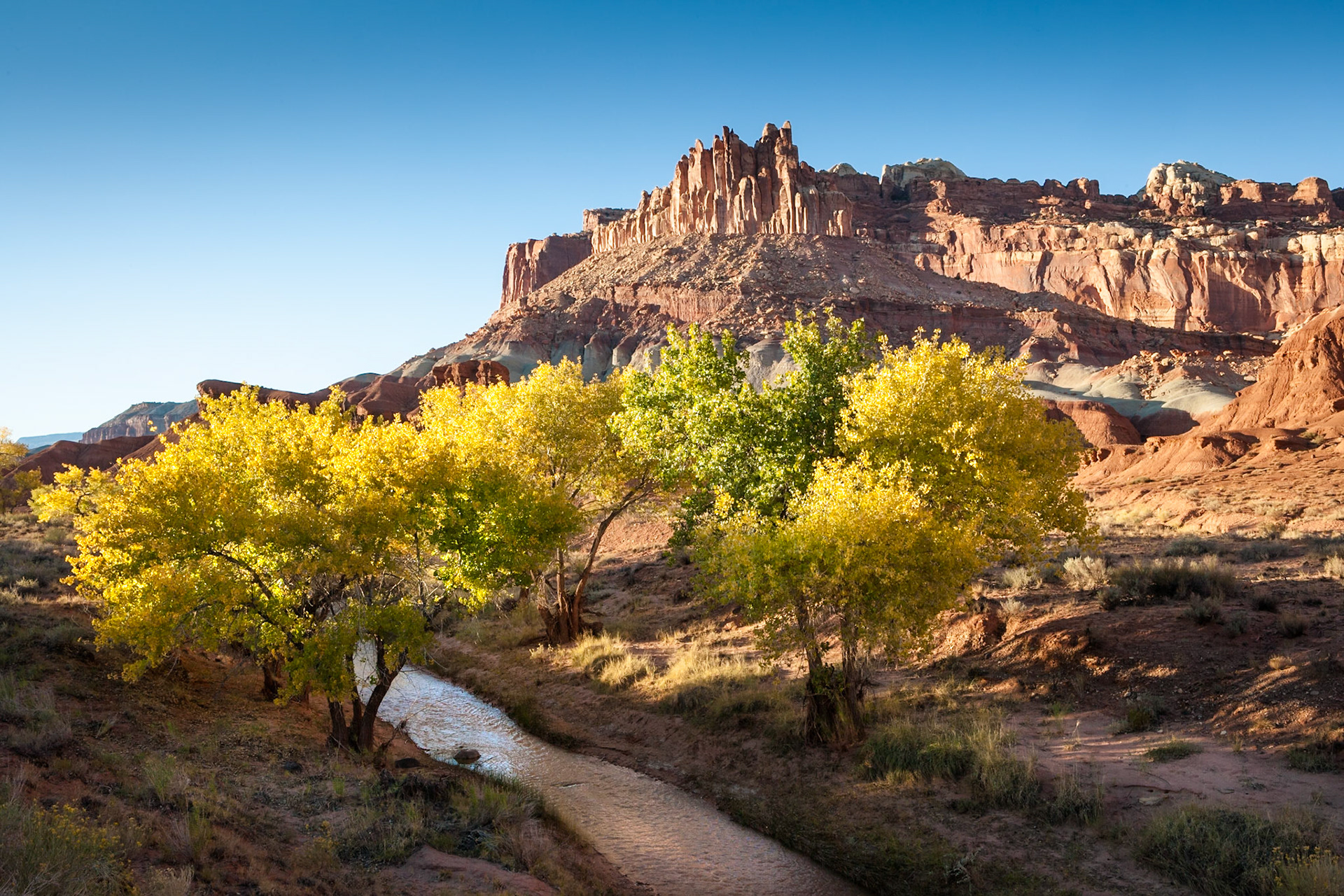 Autumn at Capitol Reef Nat'l Park, The Castle with Fremont River, UT, USA