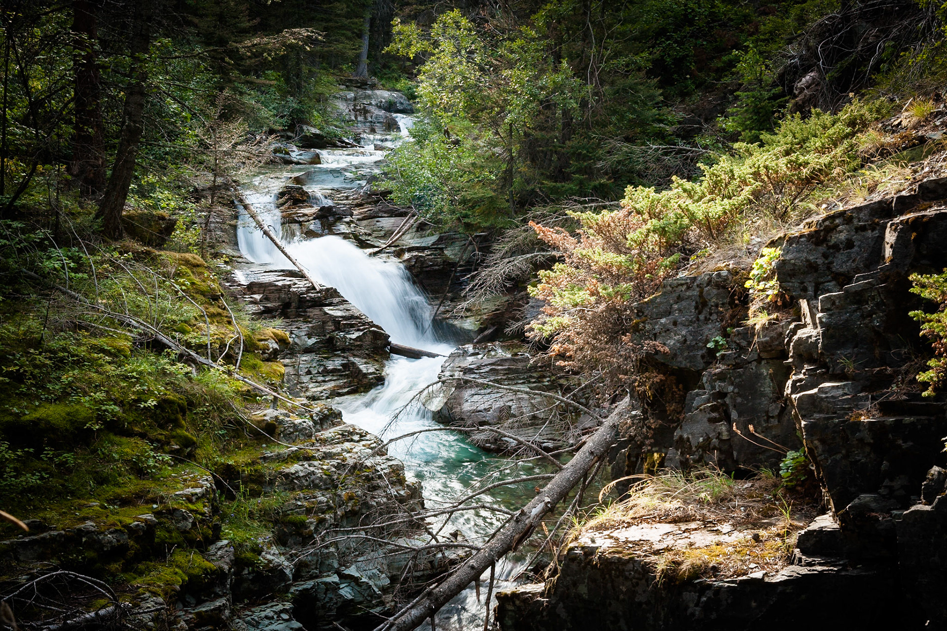 Baring Creek in Glacier National Park, Montana, USA