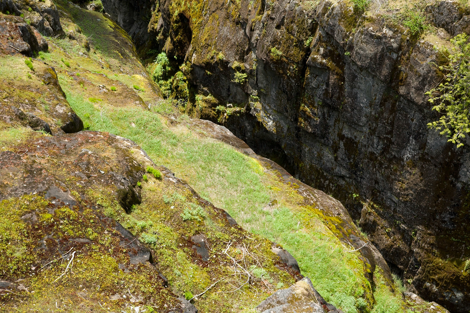 Box Canyon at Mount Rainier Nat'l Park, WA, USA, AESTHETIC OR COMMERCIAL APPEAL OF IMAGE