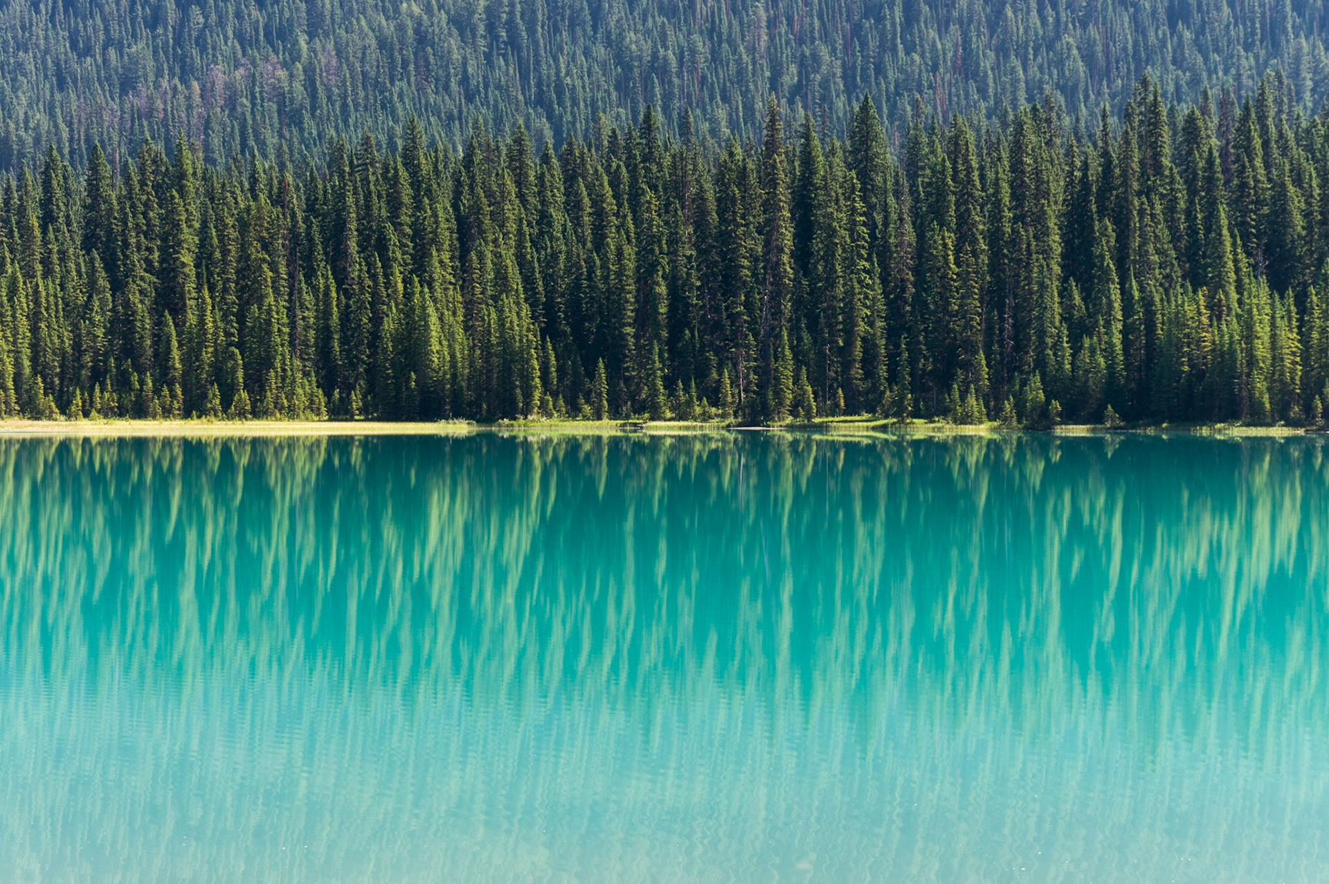 Emerald Lake, Yoho National Park, BC, CA