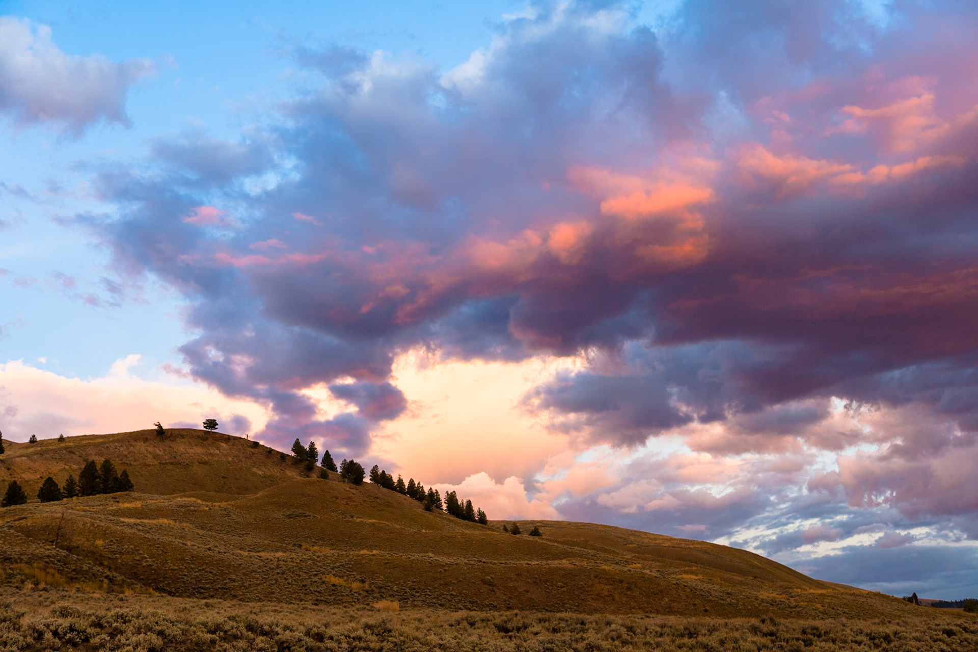 Sunset at Lamar Valley, Yellowstone Nat'l Park, WY, USA