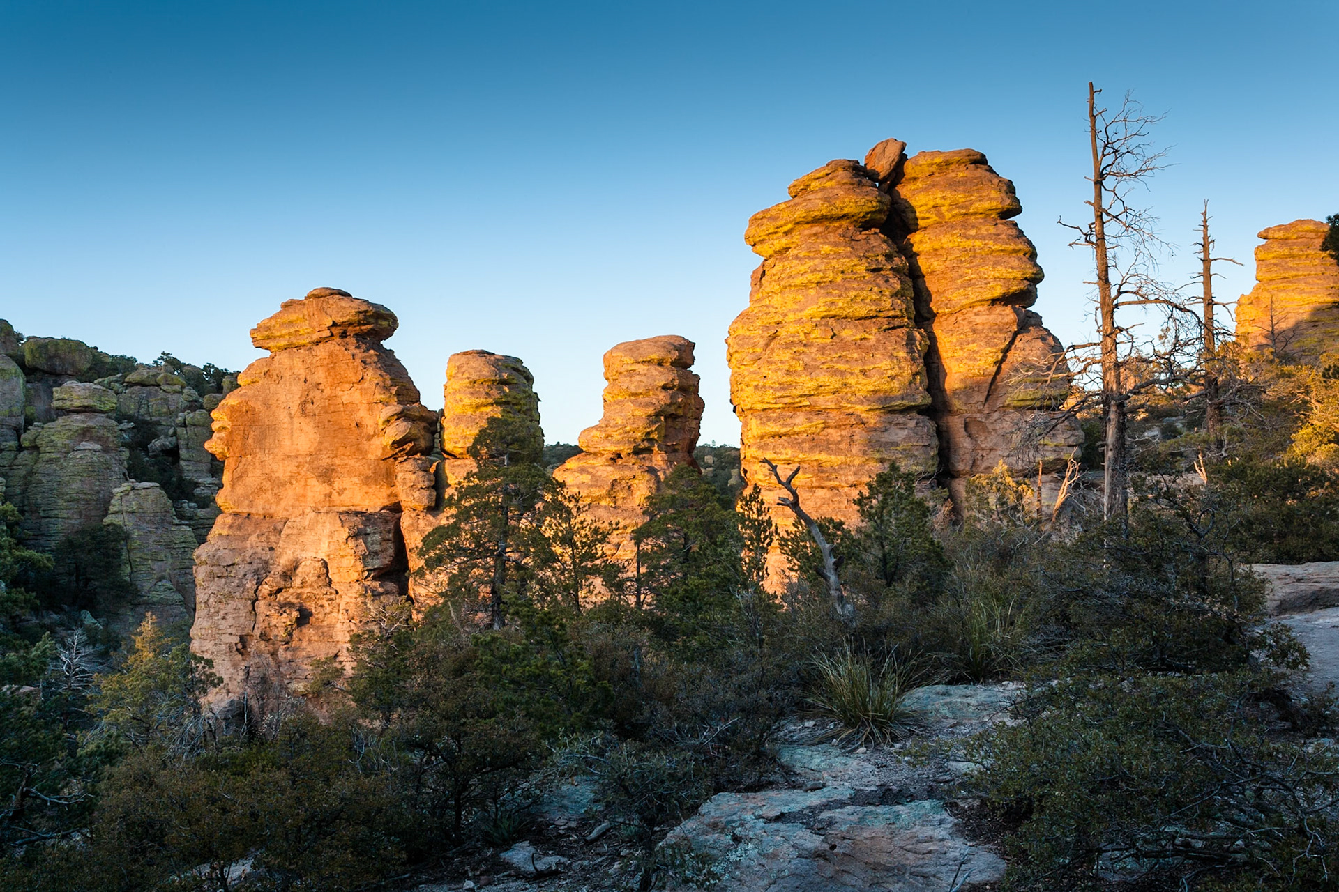 Rock formations at sunset in Chiricahua National Monument, Arizona, USA