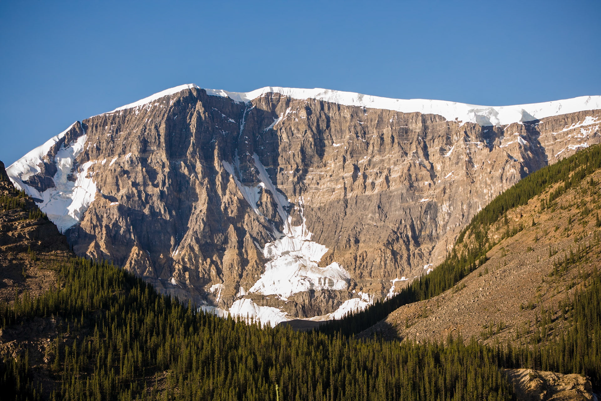 Stutfield Glacier, Columbia Icefield, Jasper NP, Alberta, CA