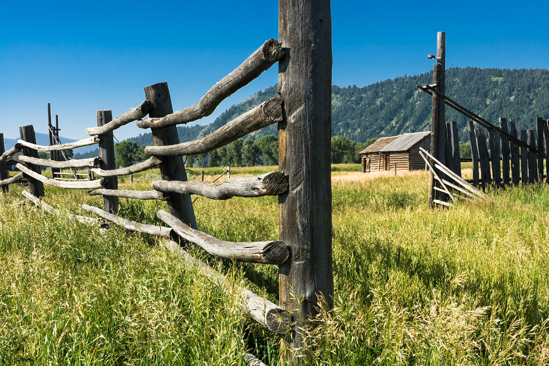 Fence and Barn at Mormon row Grand Teton National Park, Wyoming, USA