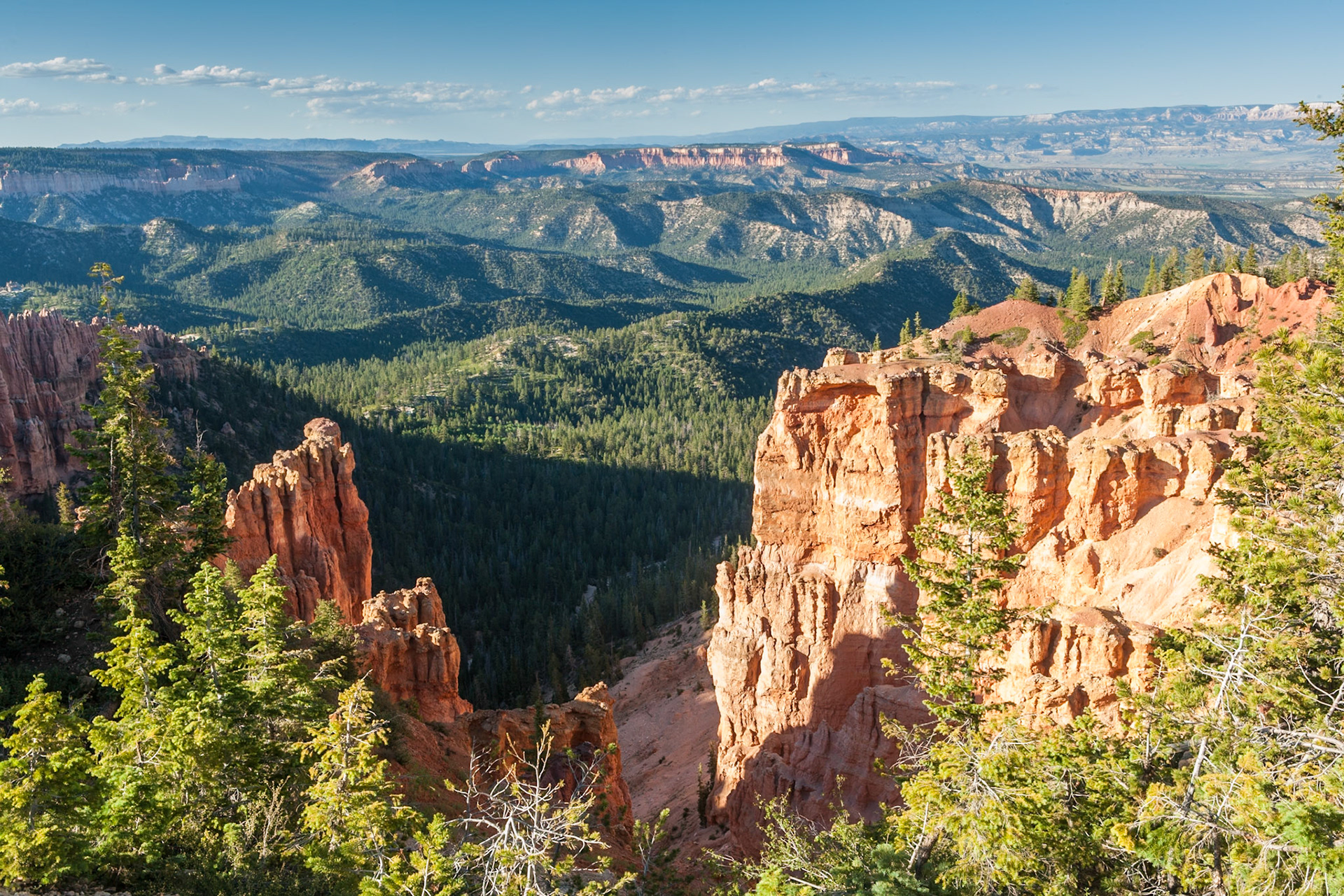 Bryce Canyon, Rainbow Point, UT, USA