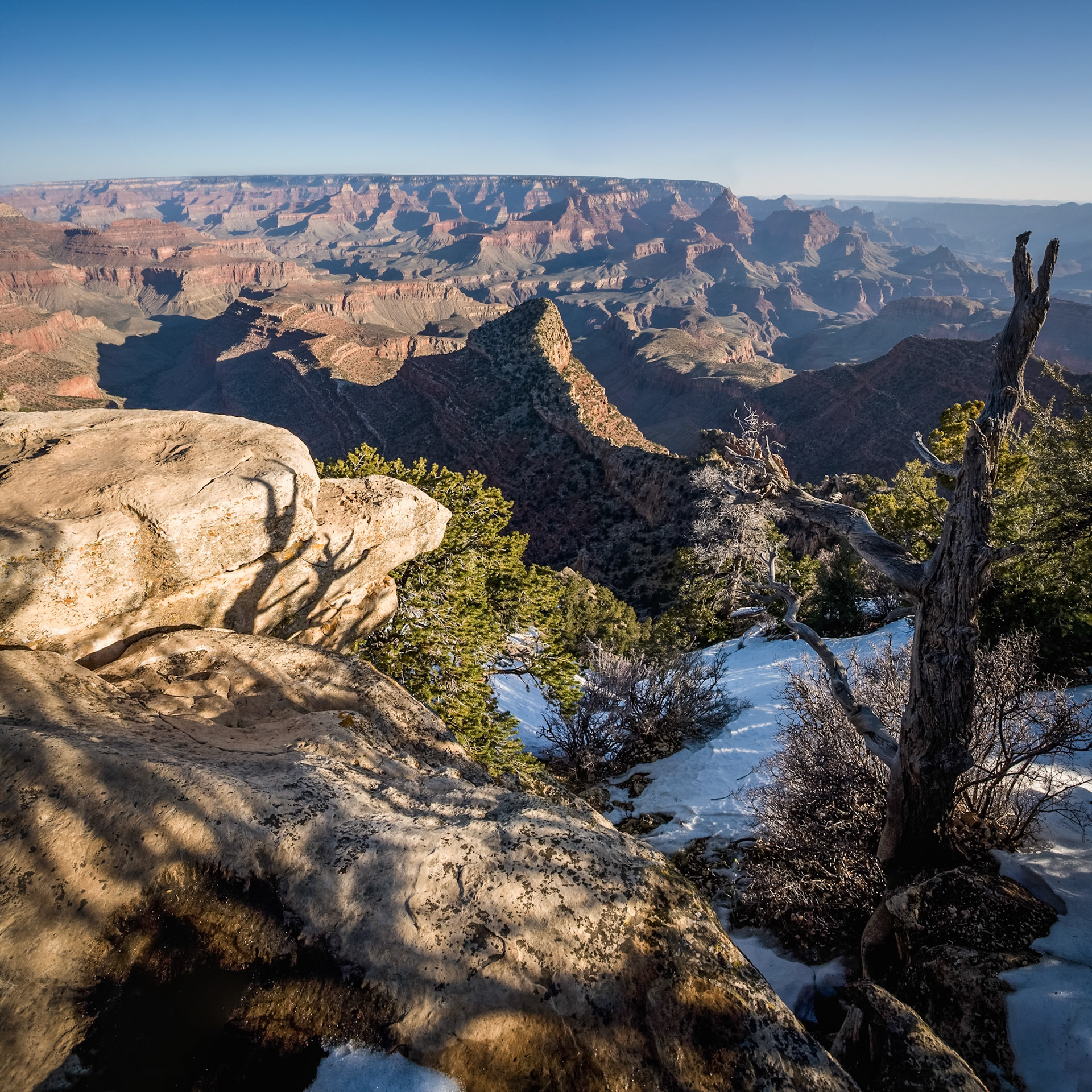 Grand Canyon, Moran Point, Arizona, USA