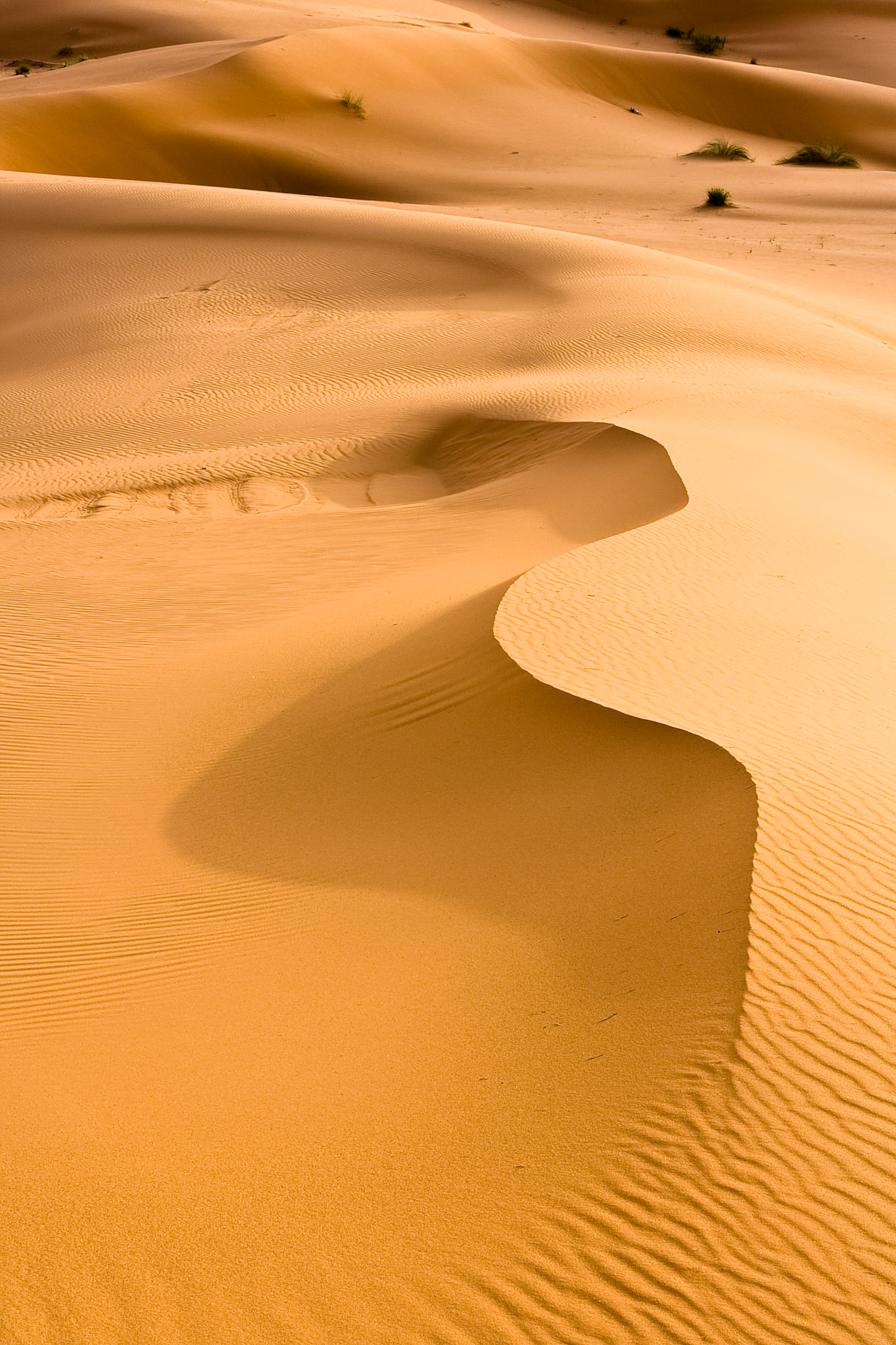 Sand dunes at Hassi Labiad near Merzouga, Morocco