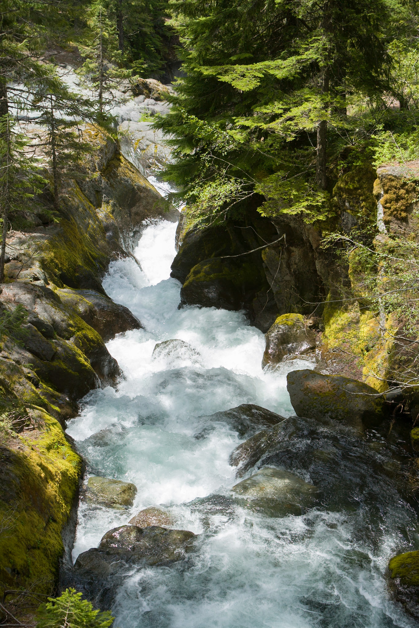 Nickel Creek at Mount Rainier Nat'l Park, WA, USA