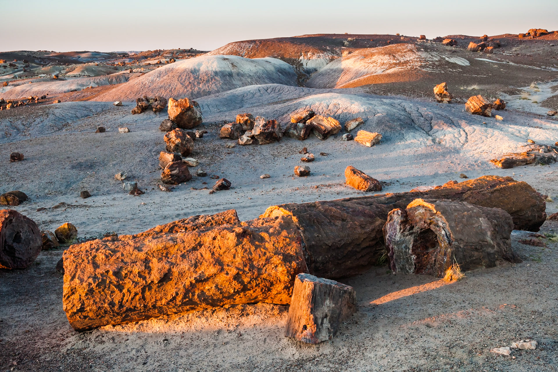 Sunset at Petrified Forest National Park, Crystal Forest, AZ, USA
