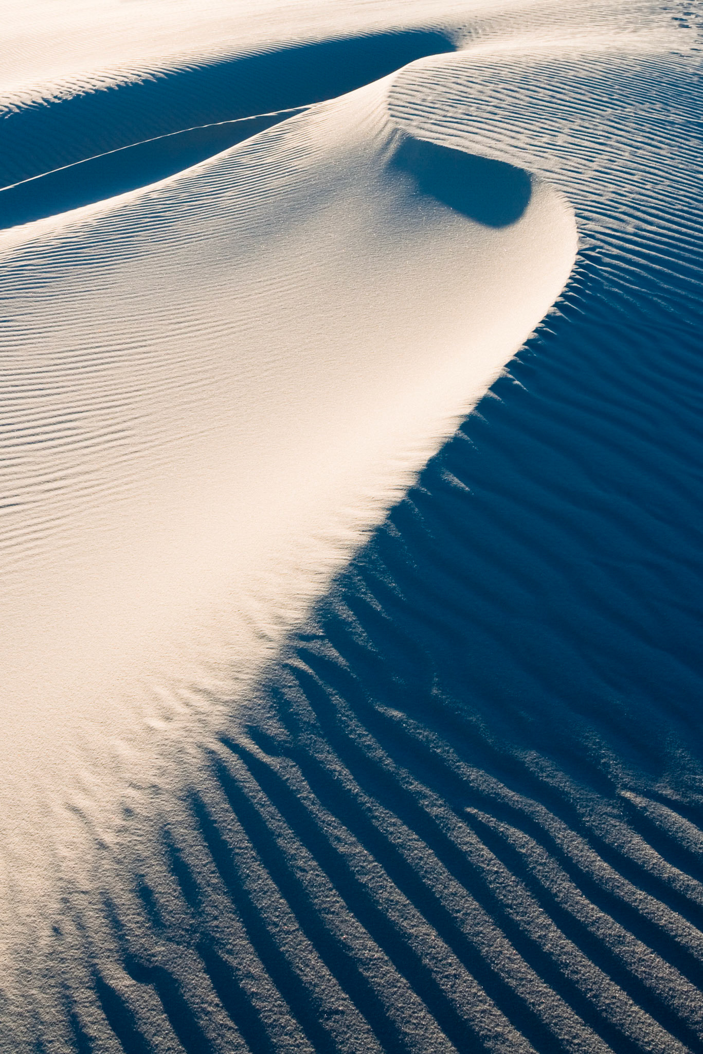White Sand Dunes National Monument, New Mexico, USA