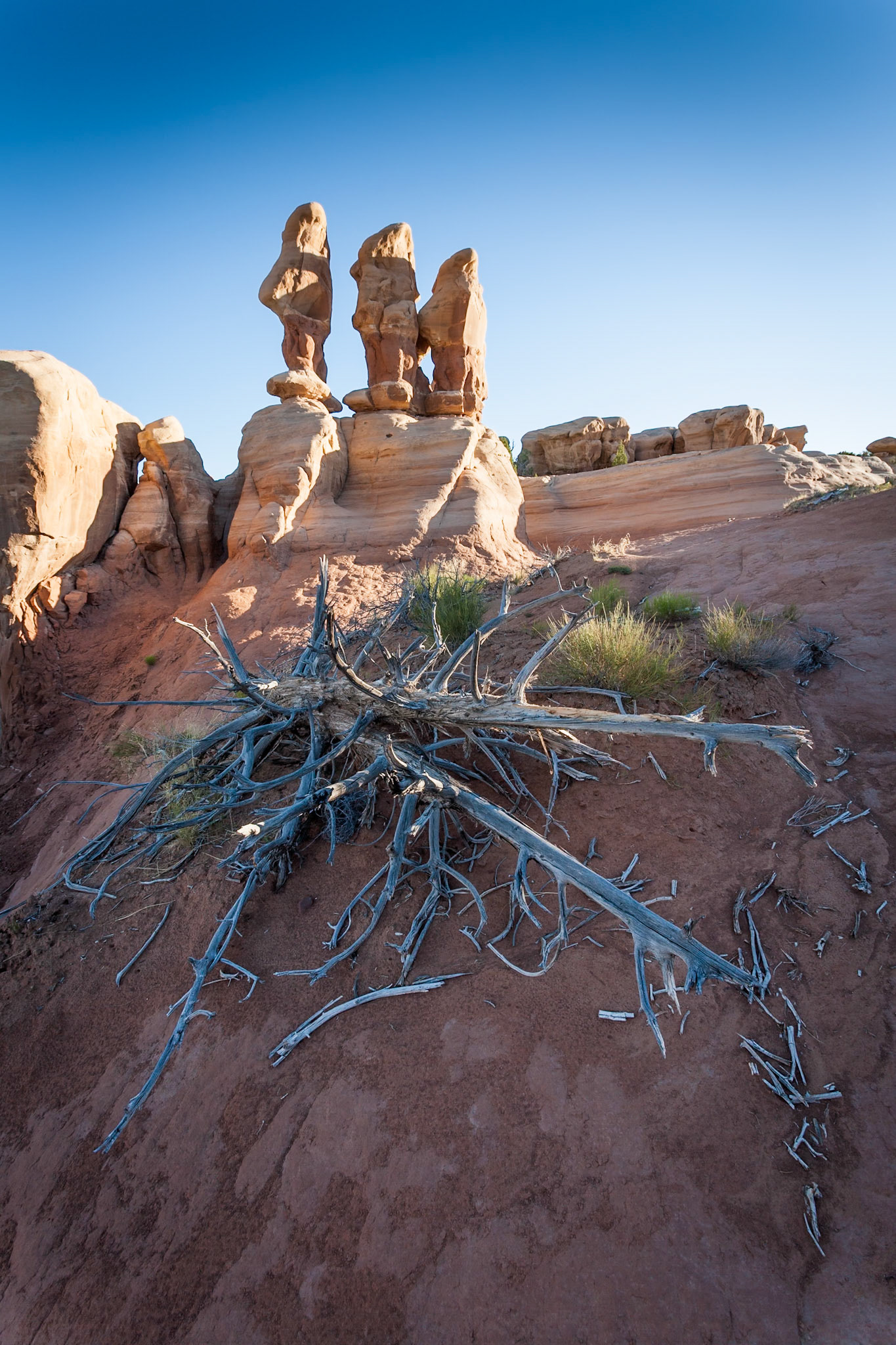 Devils Garden at Grand Staircase Escalante National Monument, UT, USA