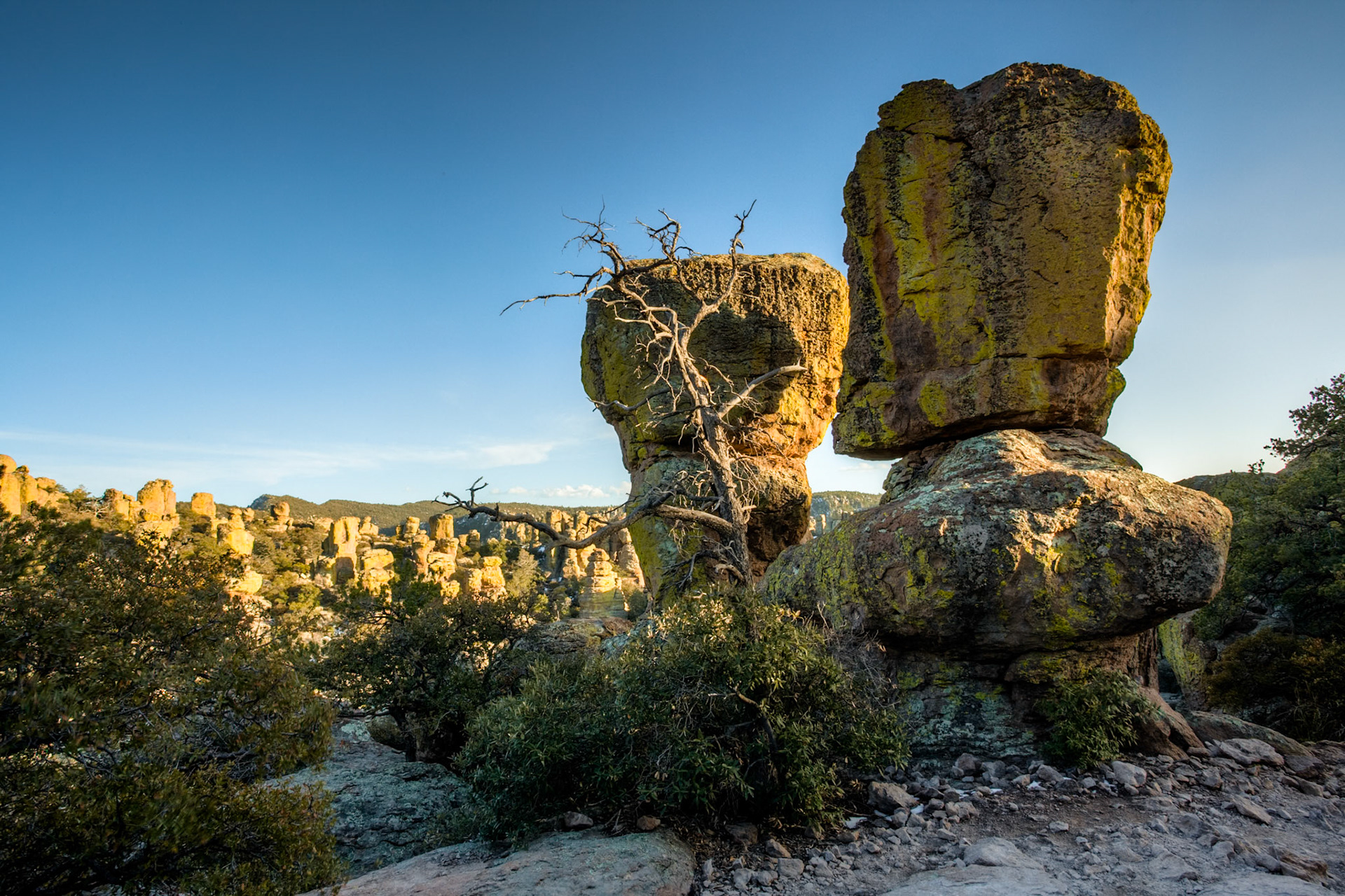 Rock formations in Chiricahua National Monument, Arizona, USA