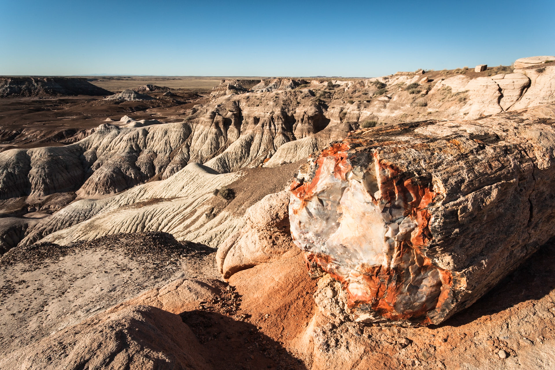Sunset at Petrified Forest National Park, Crystal Forest, AZ, USA