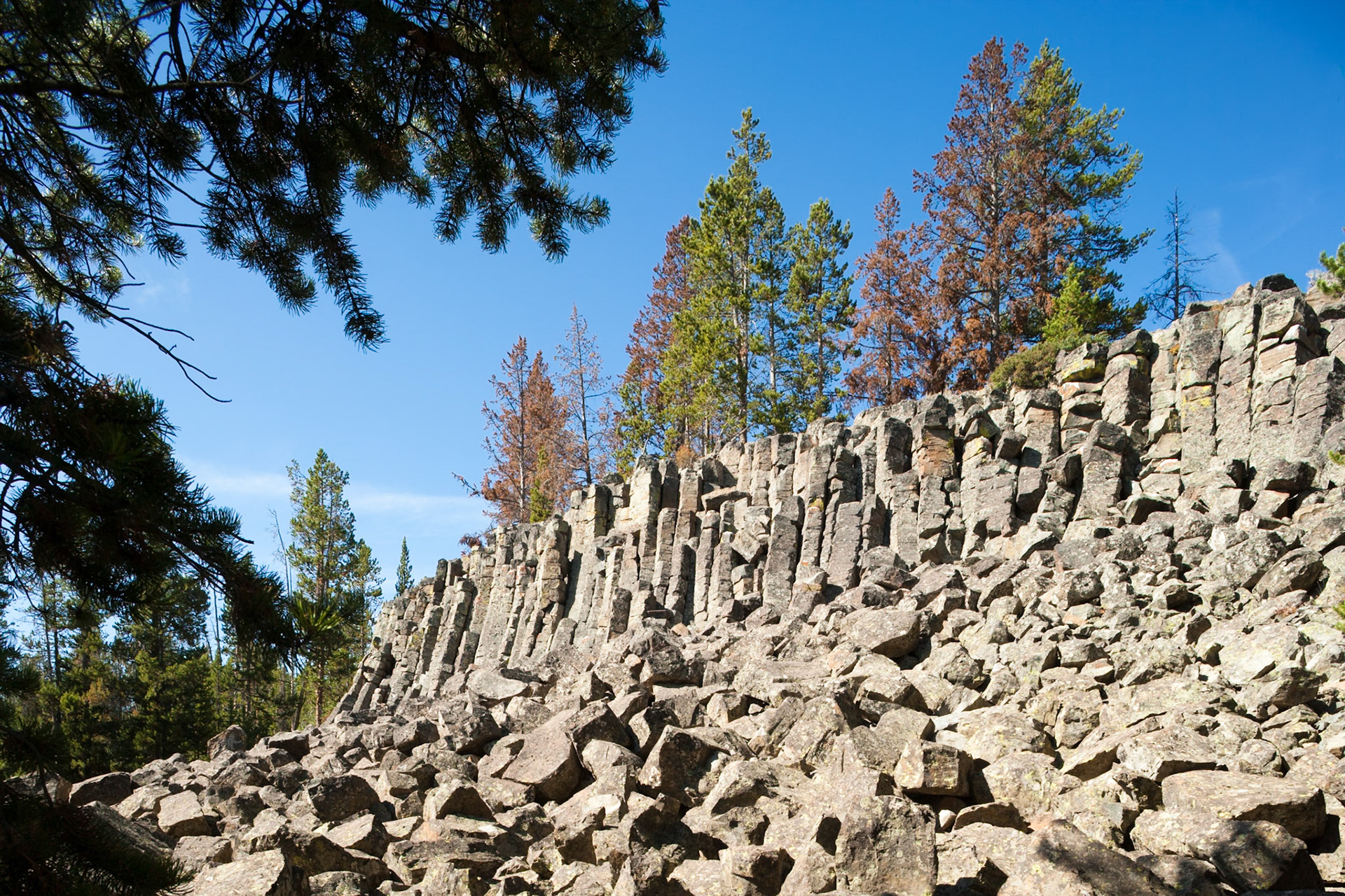 Sheepeater Cliff, Yellowstone Nat'l Park, WY, USA