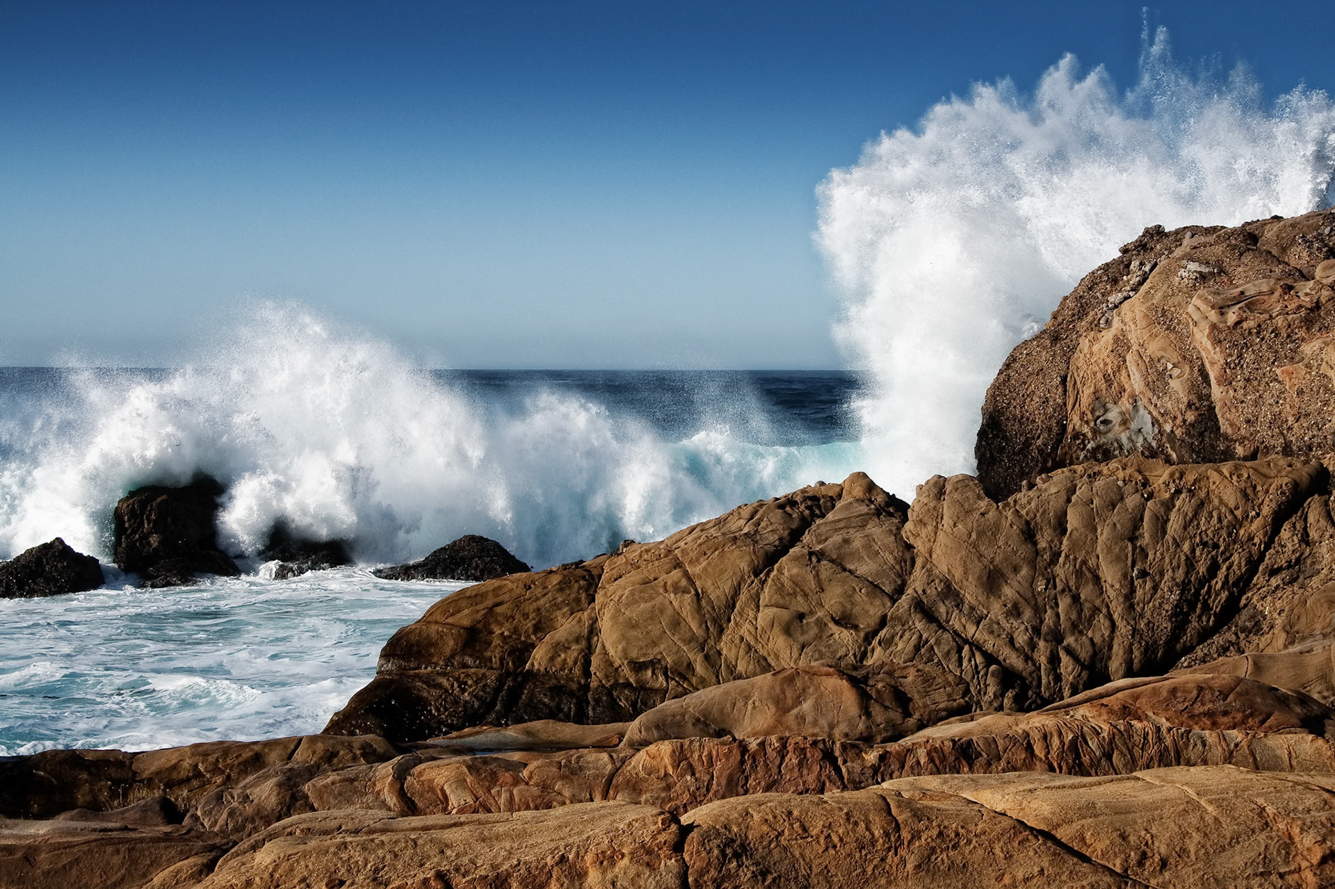 State Park Point Lobos near Carmel, california, USA