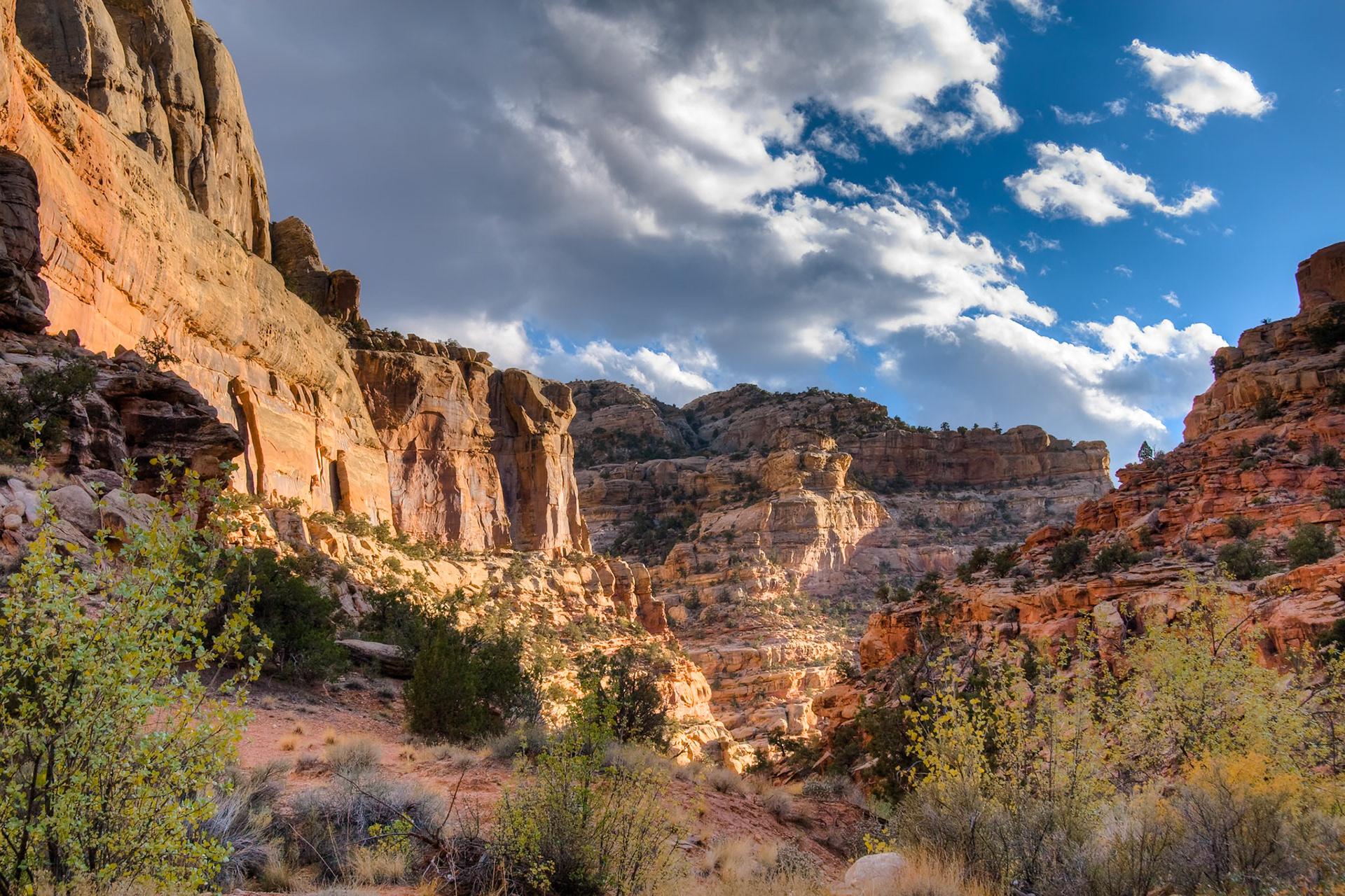 Red rocks and a blue sky with clouds at Grand Wash in Capitol Reef Nat'l Park, Utah, USA