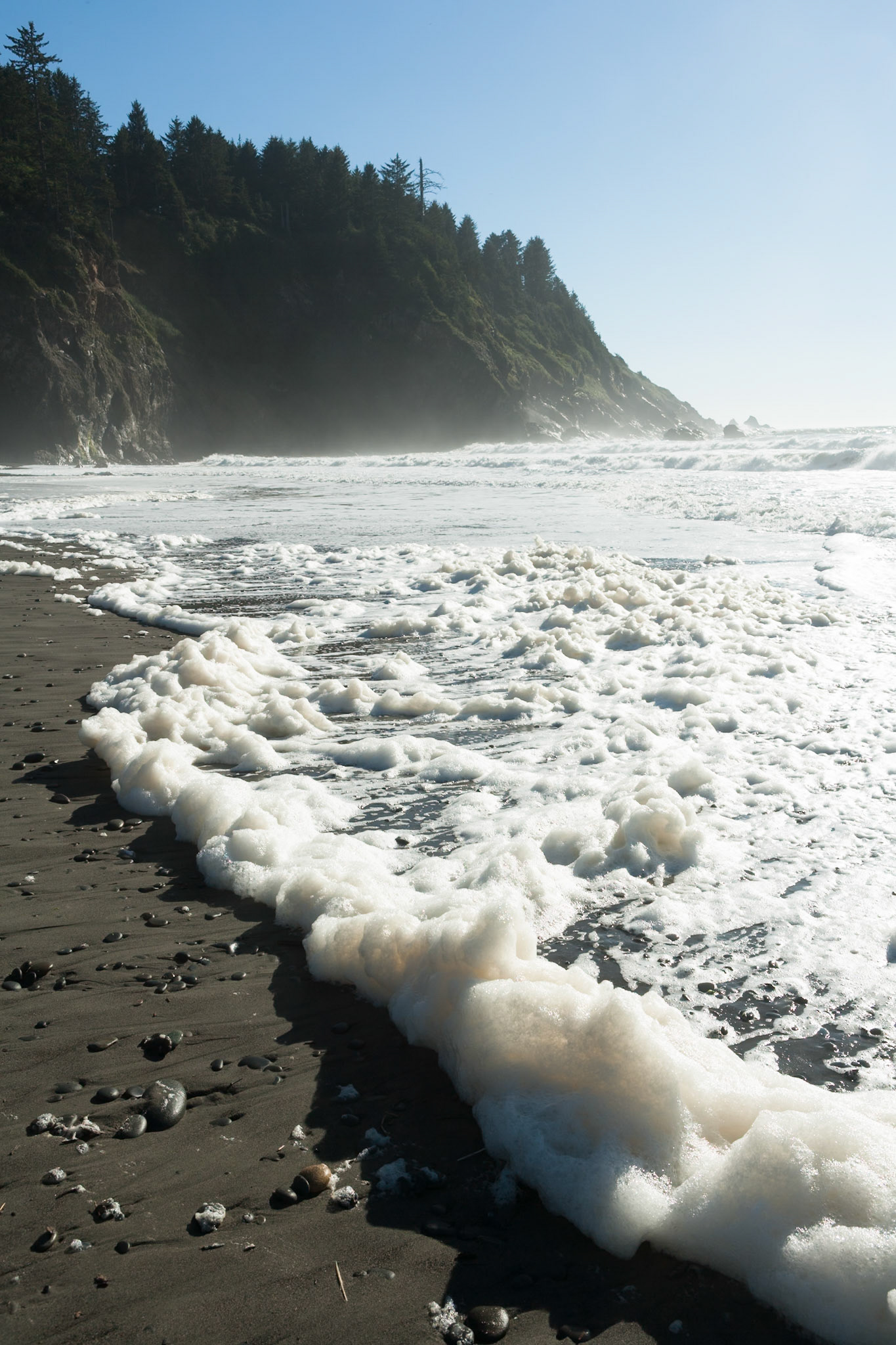 Sea Foam at First Beach near La Push, Olympic National Park, Washington, USA