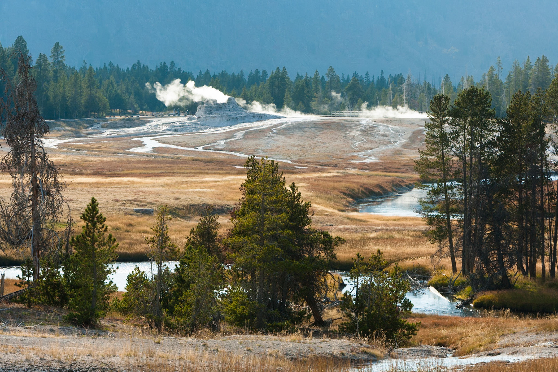 Everywhere geysers at Upper Geyser Basin at Yellowstone Nat'l Park, Wyoming, USA