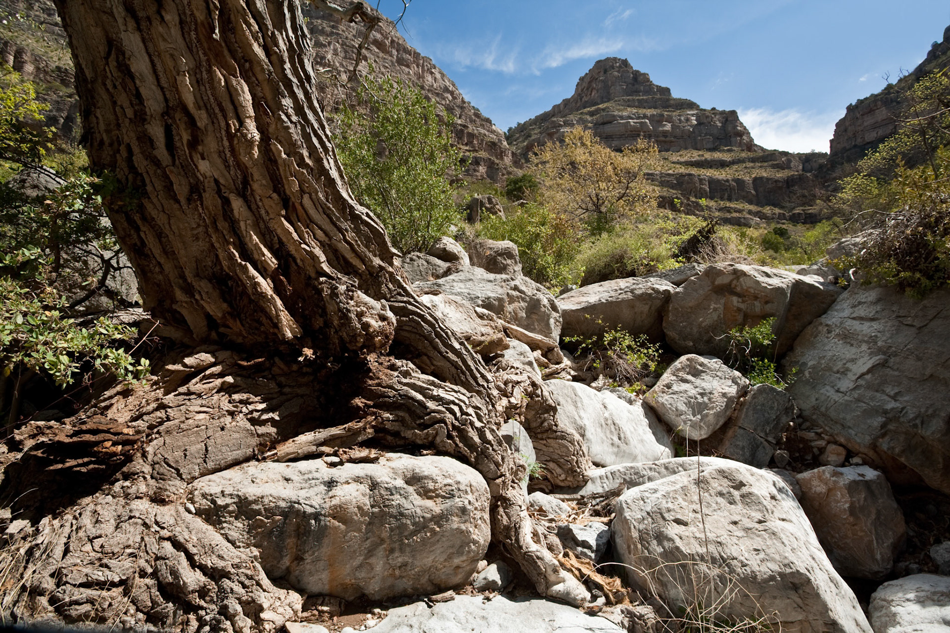 Dog Canyon at Oliver Lee Memorial State Park, New Mexico, USA