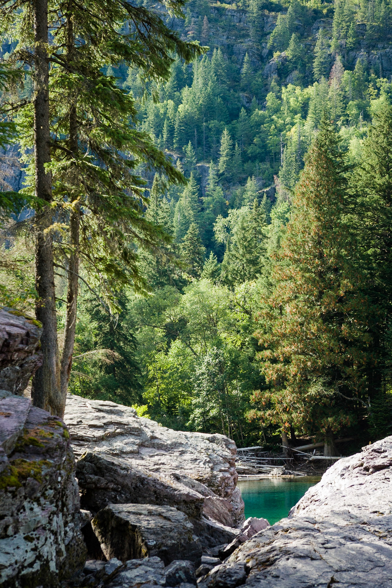 Mc Donald Creek in Glacier National Park, Montana, USA