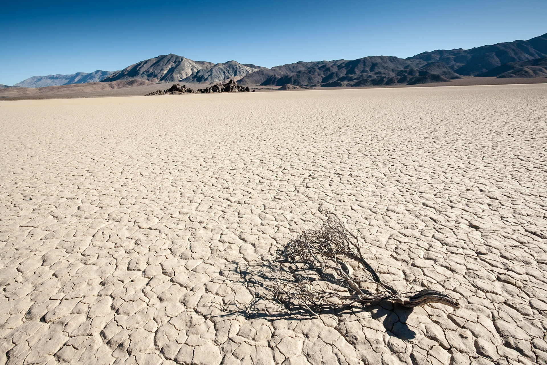 Dead Scrub at the Racetrack in Death Valley, California, USA