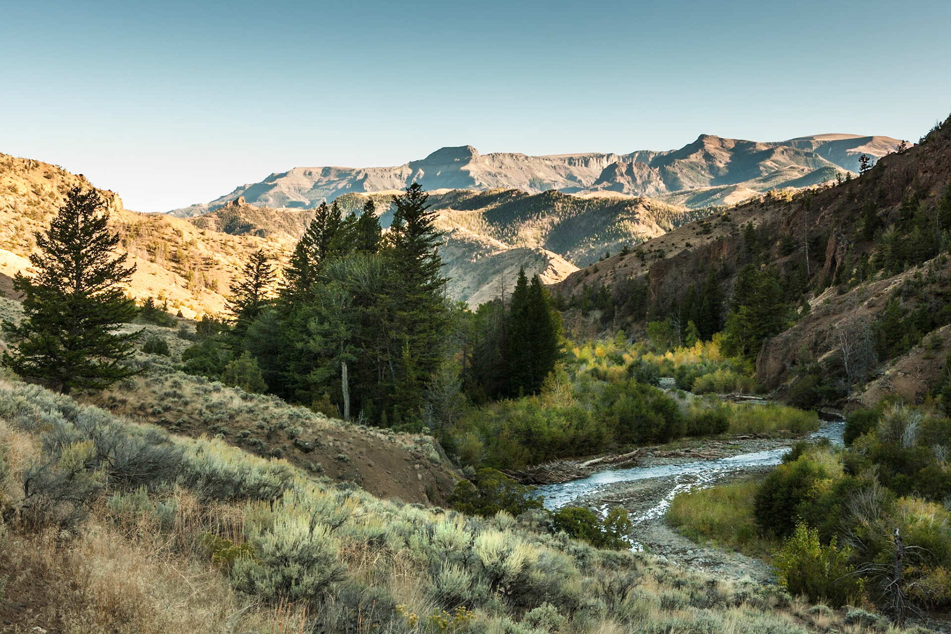 Scenery at Sweet Water Creek Rd, Shoshone National Forest, Wyoming, WY, USA