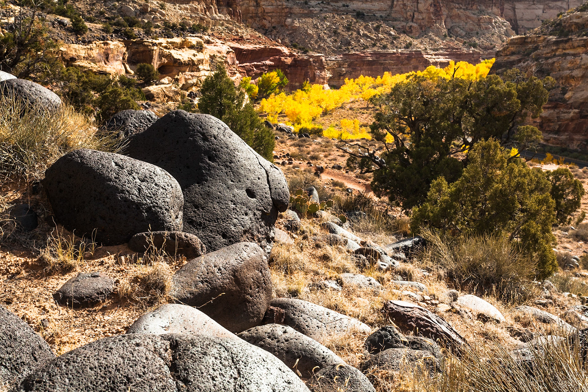 Autumn at Big Black Boulders at Hickman Natural bridge Trail, Capitol Reef Nat'l Park, Utah, USA