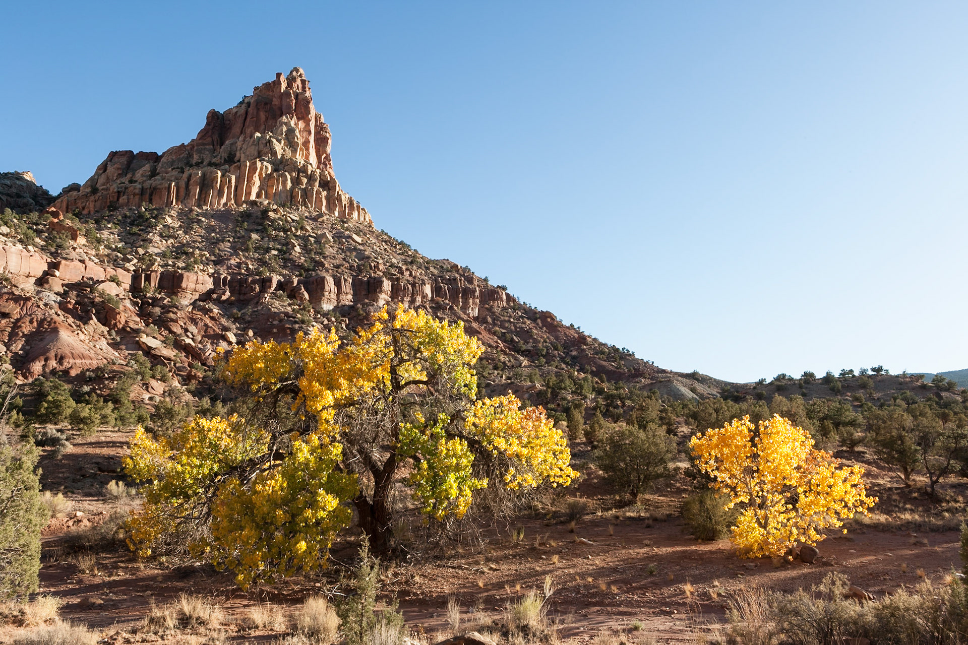 Fall (Autumn) at Capitol Reef Nat'l Park, Scenic Drive, Utah, USA