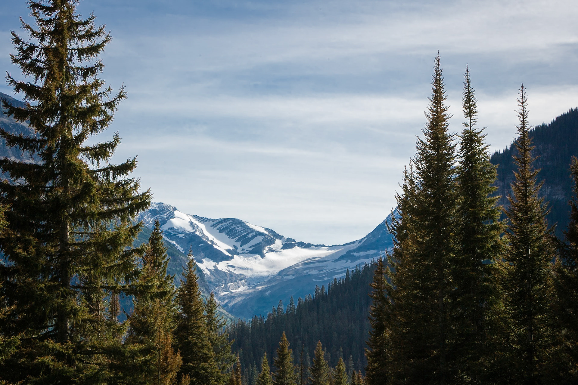 Jackson Glacier in Glacier National Park, Montana, USA