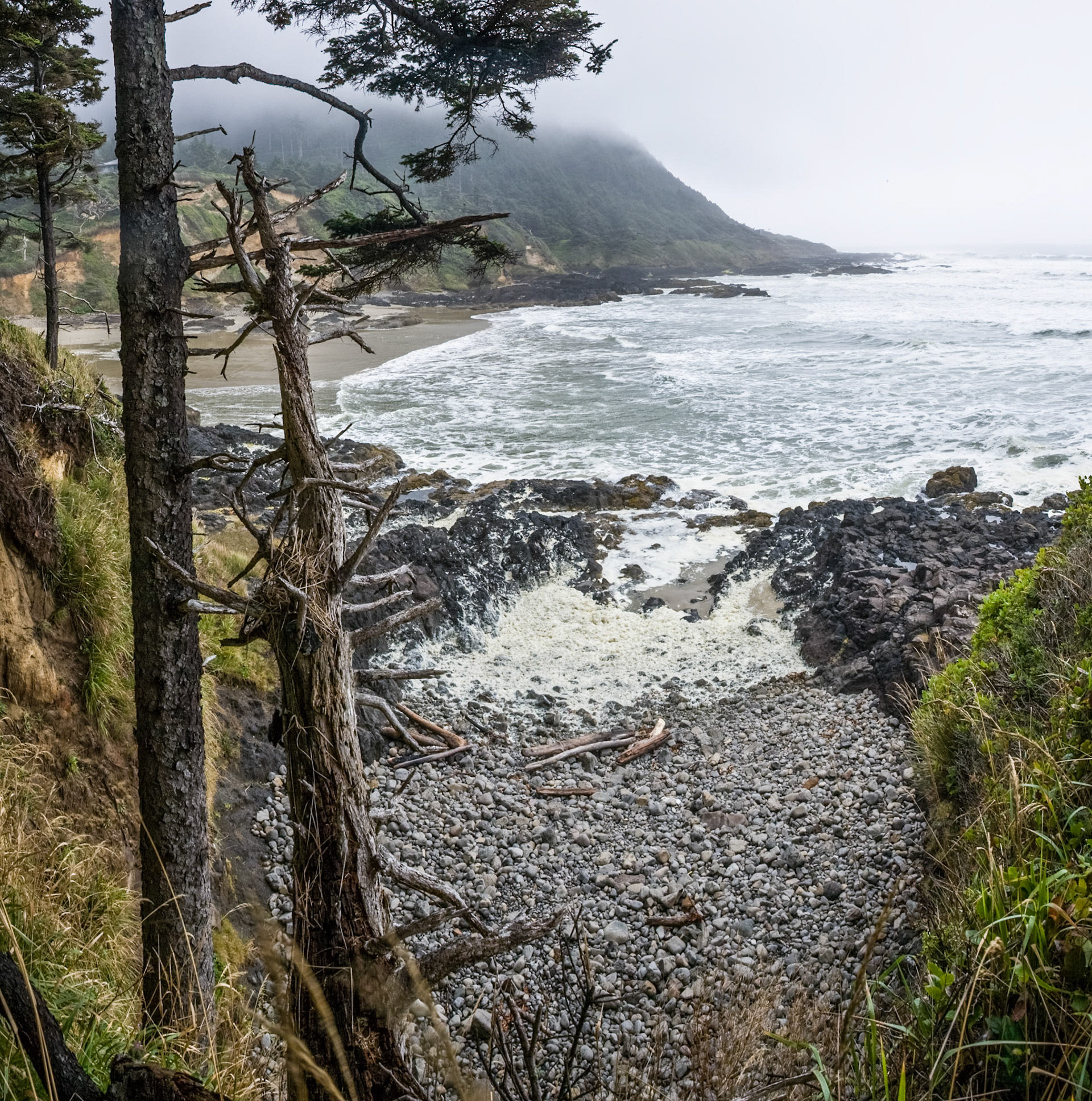 Fog at Devil's Churn at the coast of Oregon, Hwy 101, USA