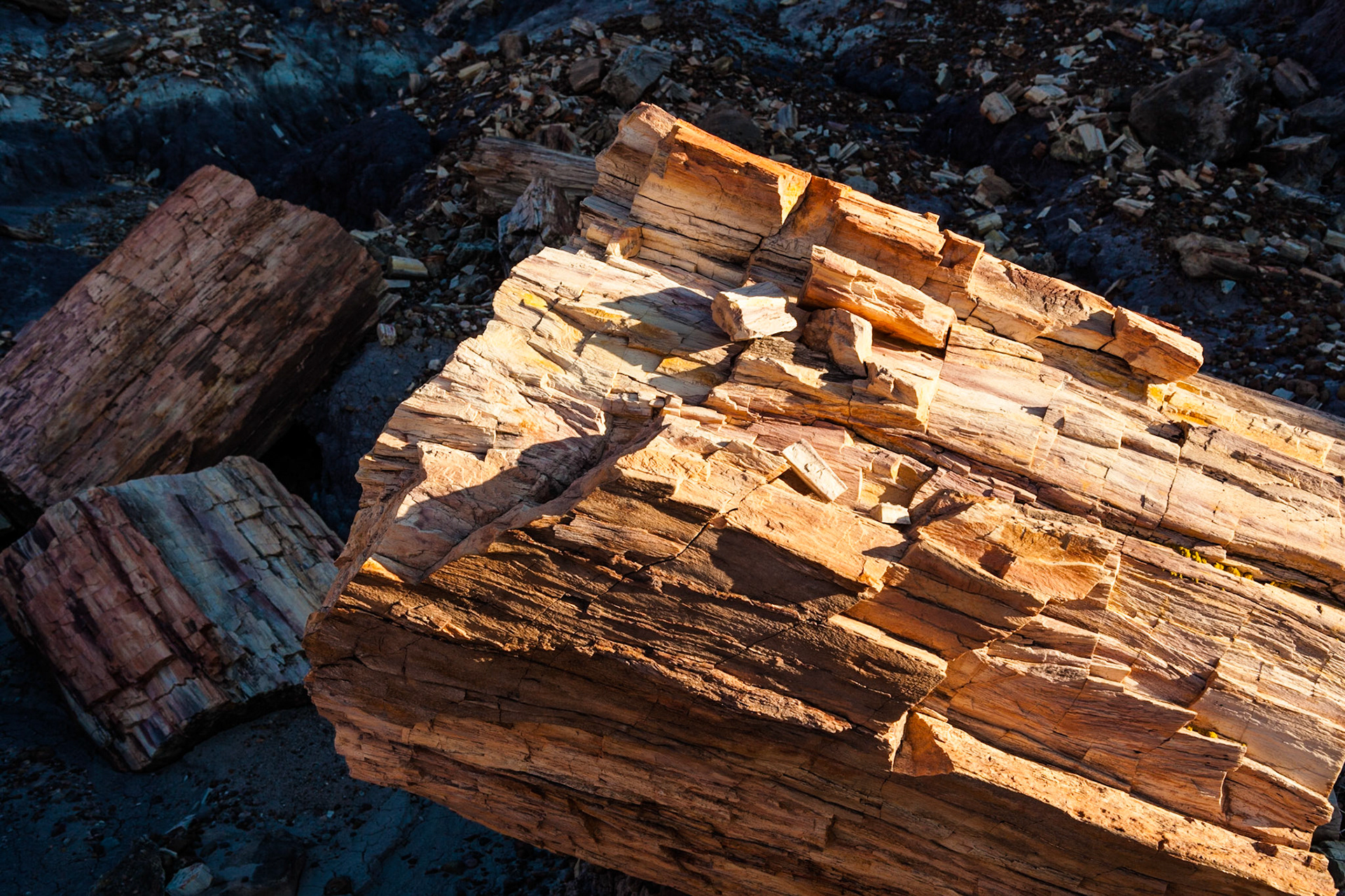 Sunset at Petrified Forest National Park, Blue Mesa, AZ, USA