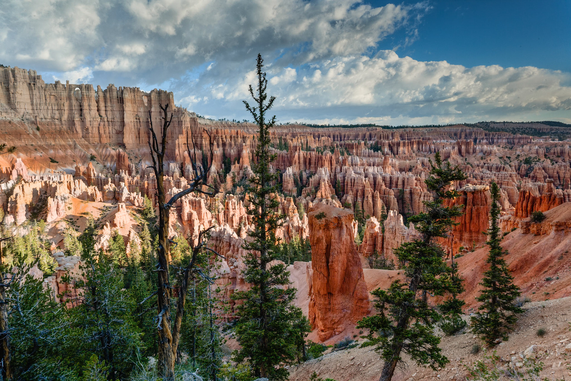 Sunrise at Bryce Canyon, Bryce Point,  UT, USA