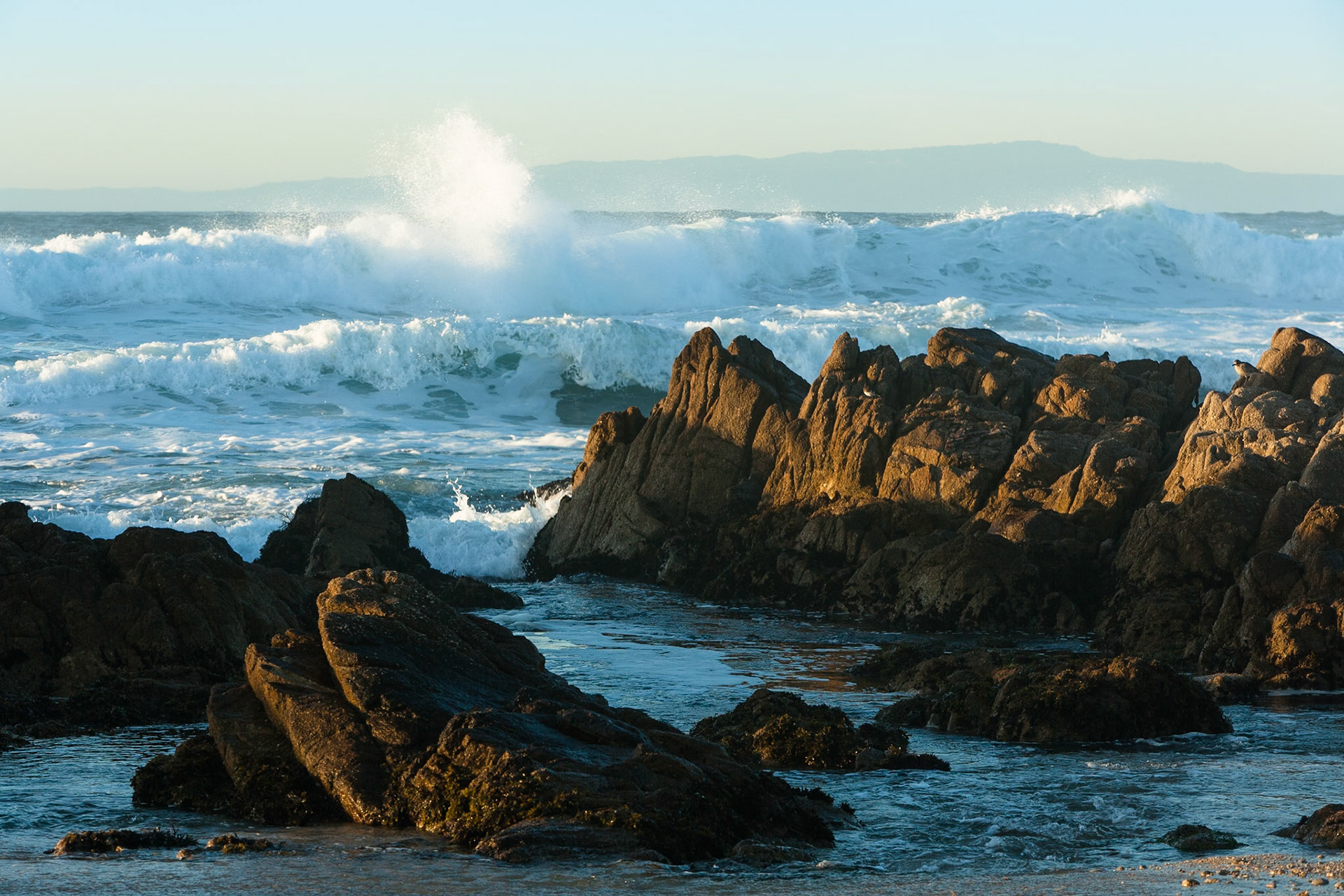Asilomar State Beach near Monterey, California, USA, SIMILAR IMAGE(S) ALREADY SUBMITTED