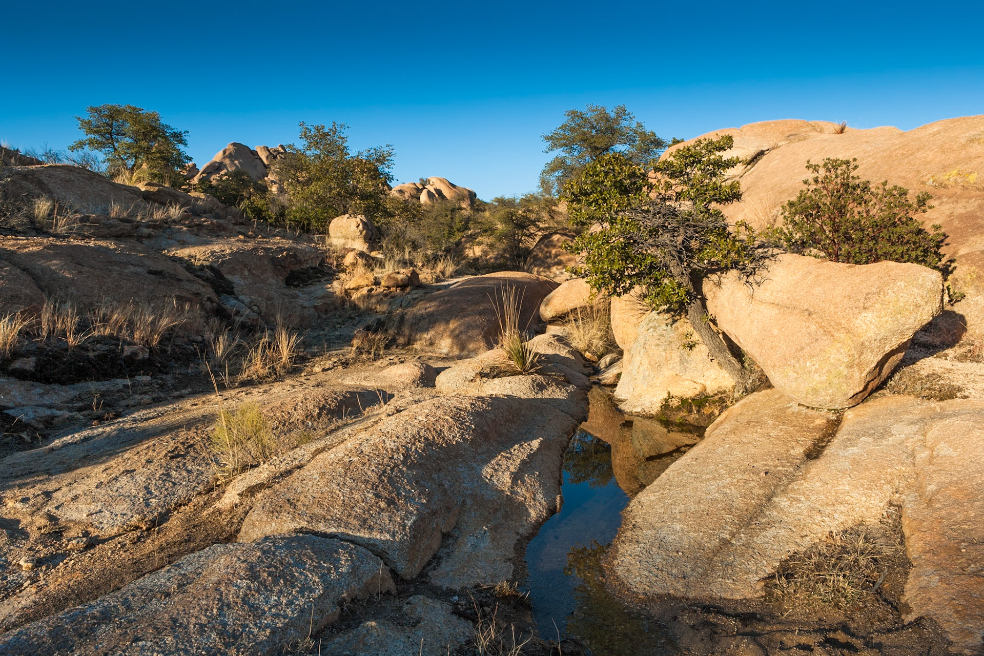 Texas Canyon, near Benson, at sunset, Arizona, USA