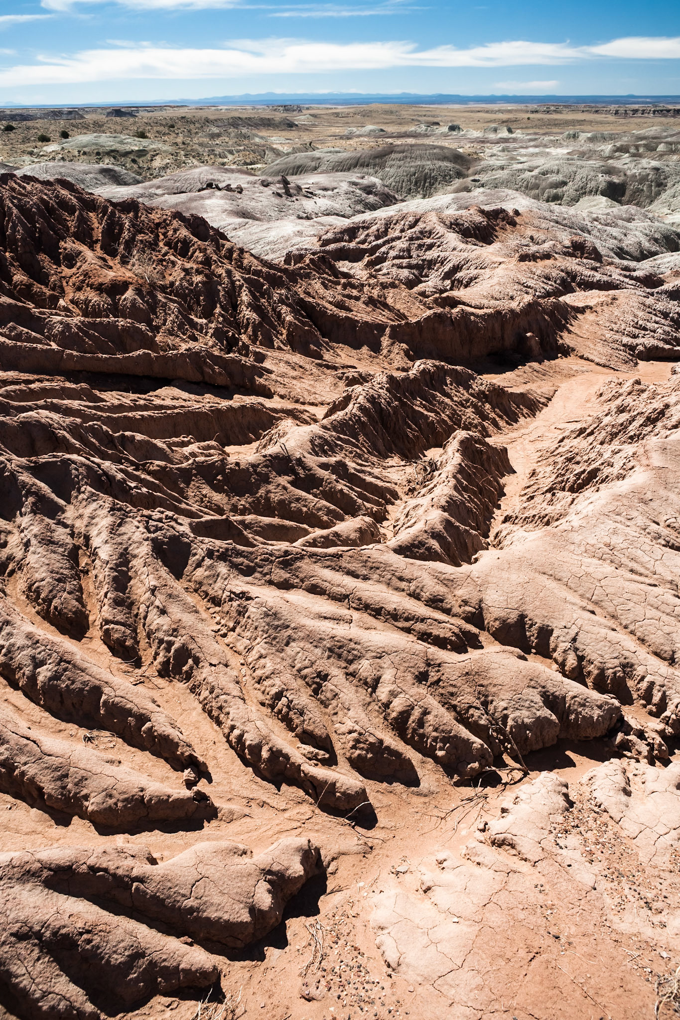 Petrified Forest National Park, AZ, USA